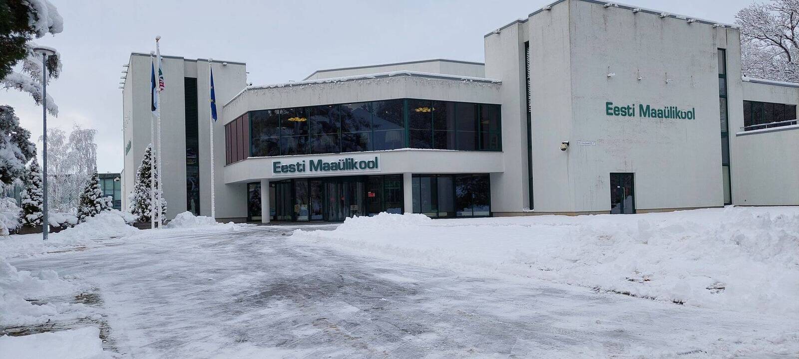 Maaülikoolis algas vastuvõtt ingliskeelsetele õppekavadele.