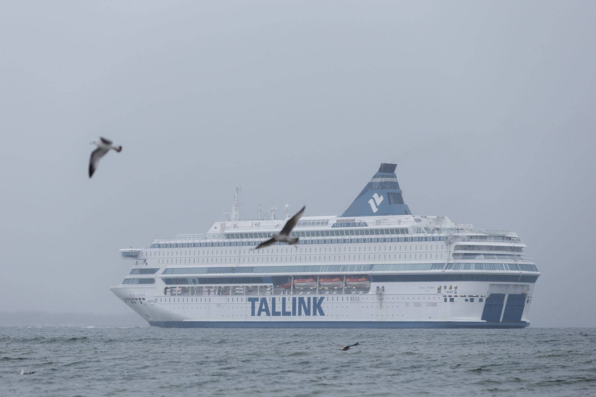 Оборот Tallink Grupp в первом квартале упал на 3,9%
