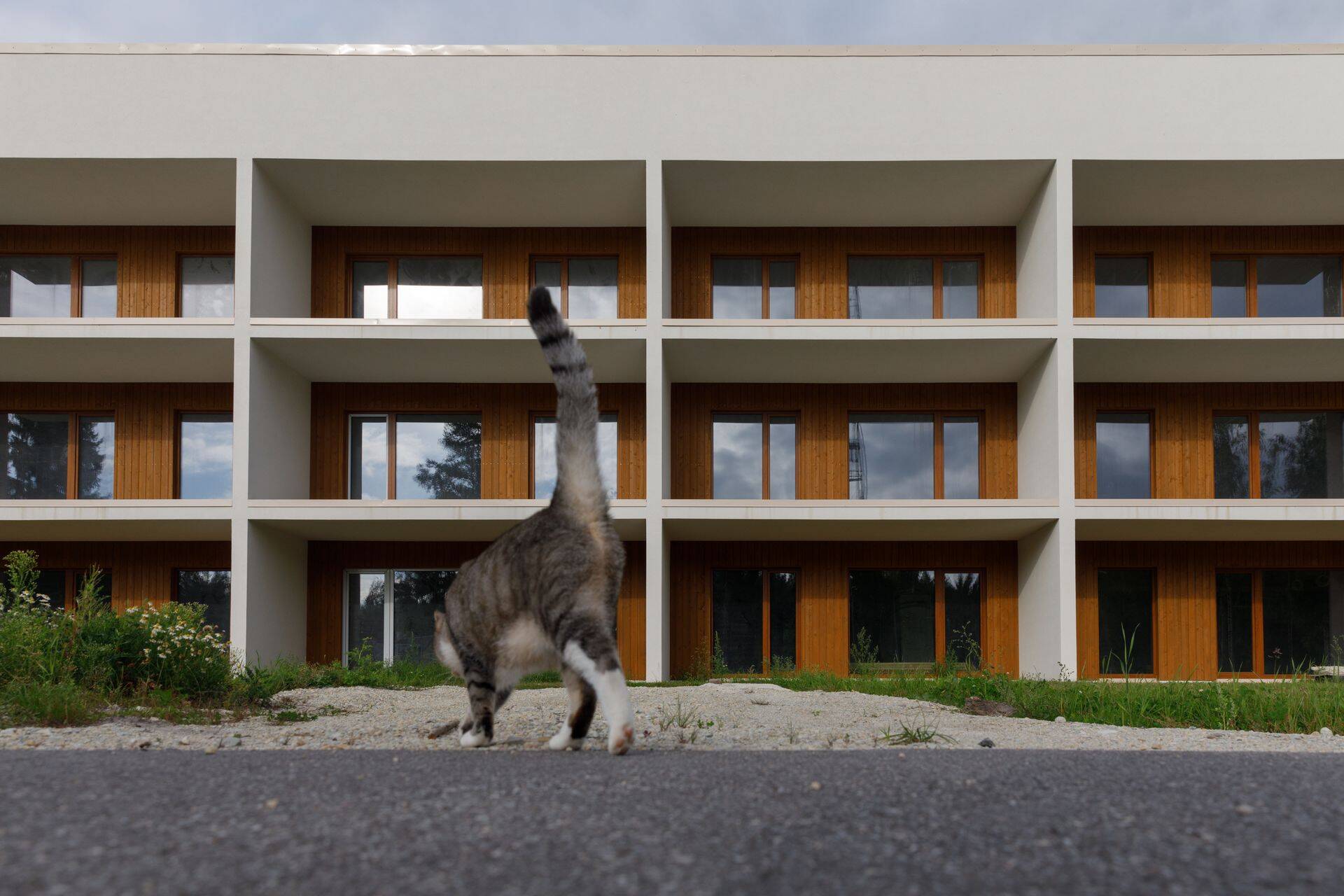 1Partner Kinnisvara statistika järgi jõudis tagasi kriisieelsele tasemele. Pildil on Pärnu kesklinnast veerand tunni kaugusel asub Nurmenuku uusarendus.