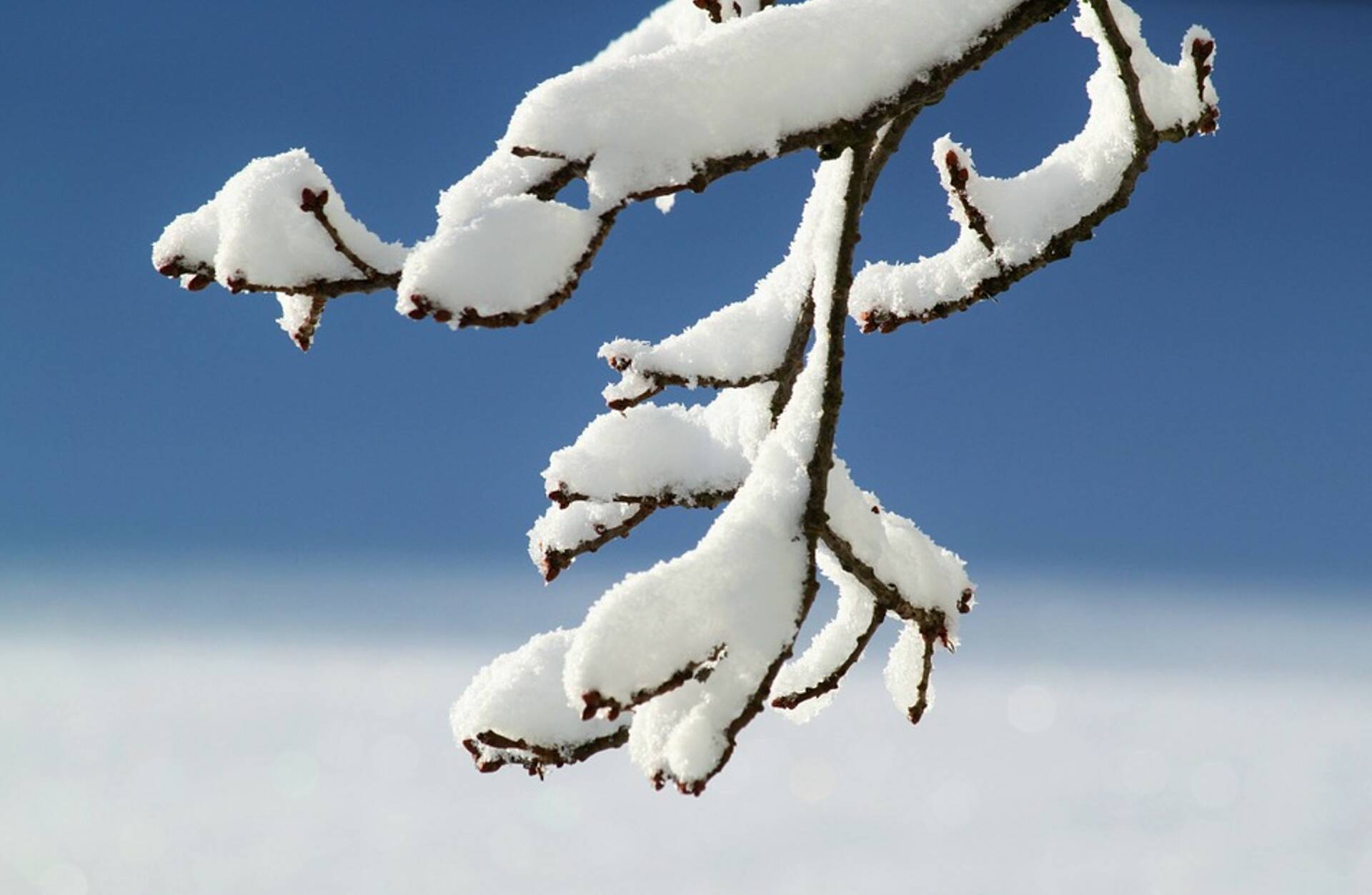 Ennusta ette Eesti Vabariigi sünnipäeva ilma!
