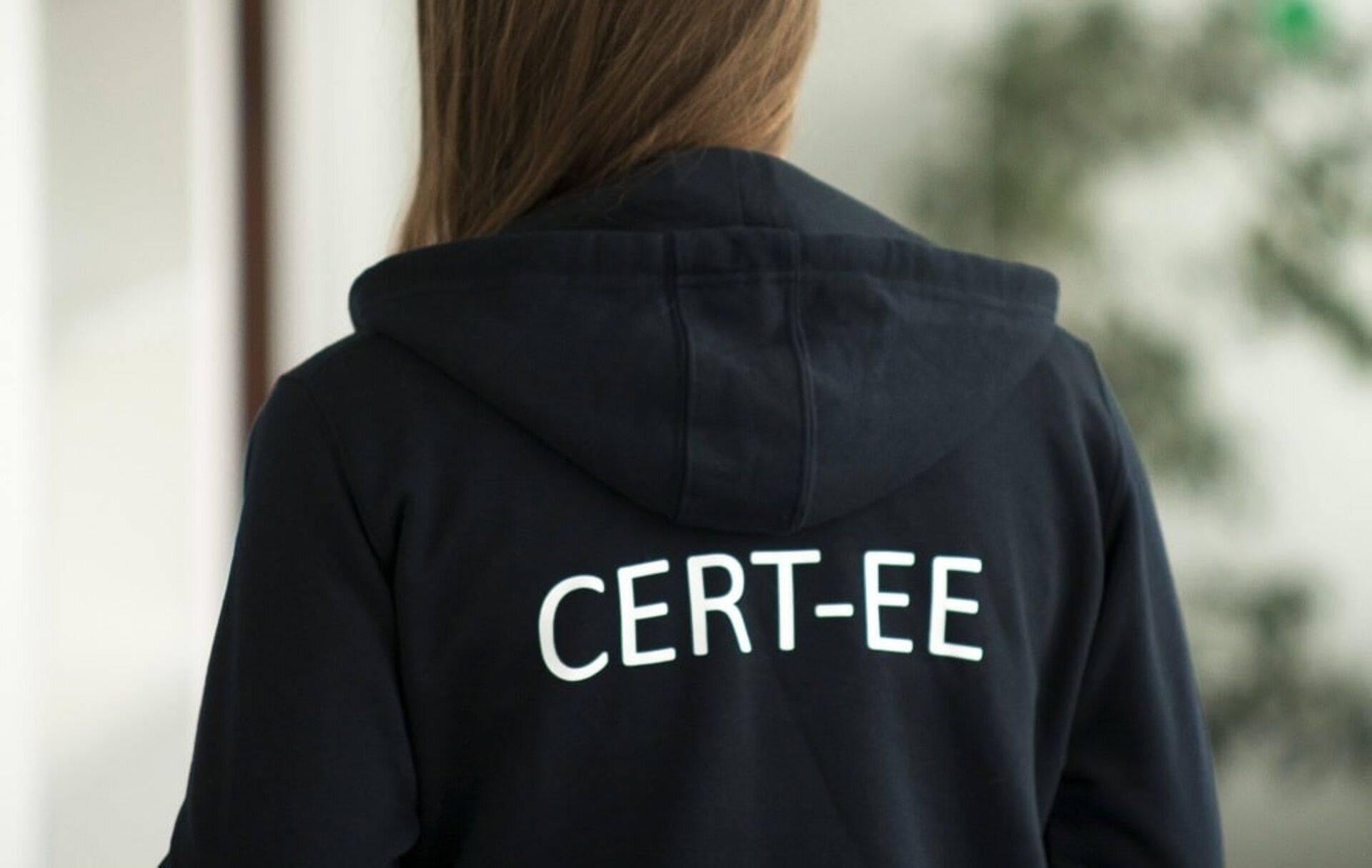 CERT-EE pakub RIA veebis ka tehnilist juhendit teenusetõkestusrünnete ennetamiseks ja lahendamiseks.