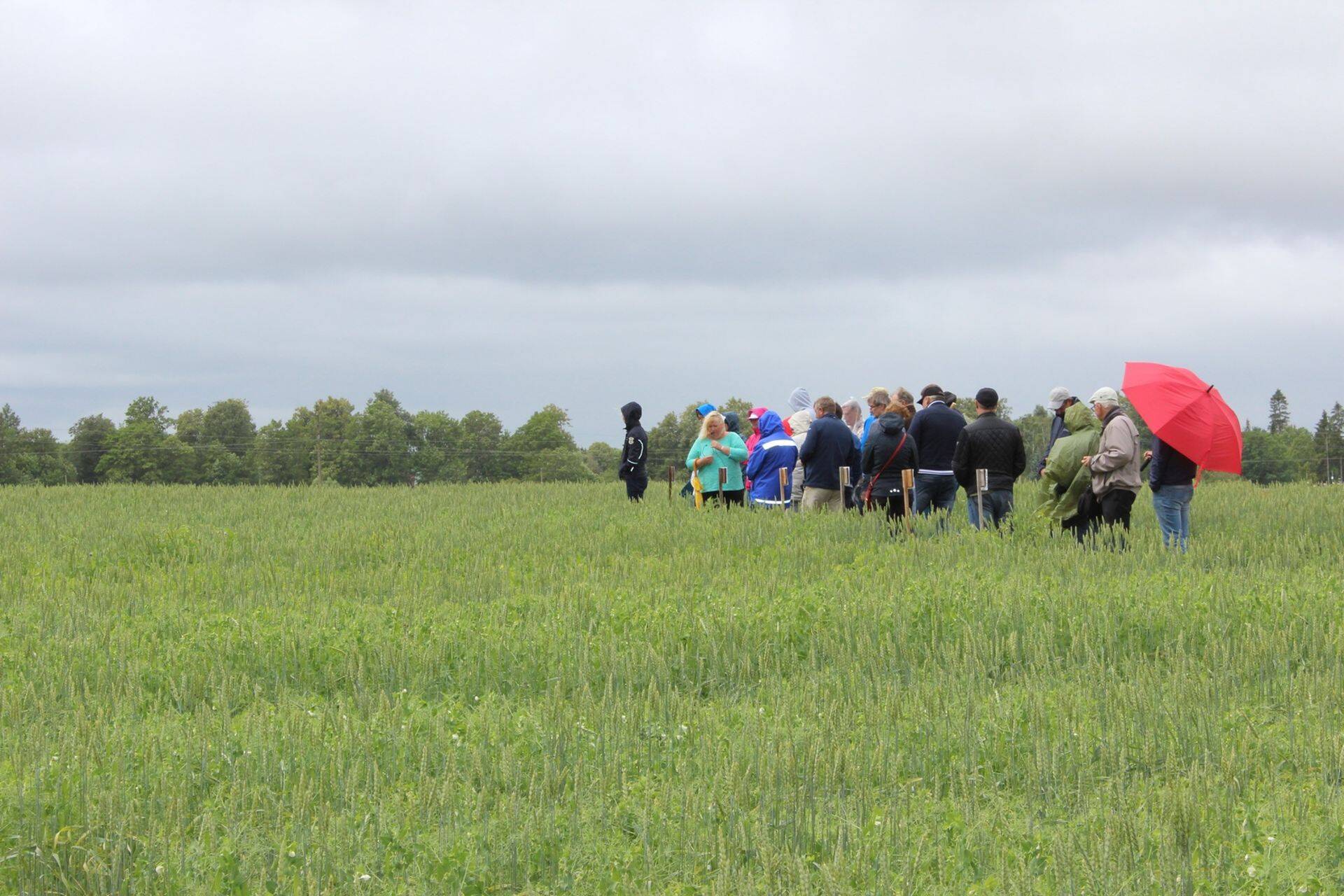 Herne katsete tutvusts.