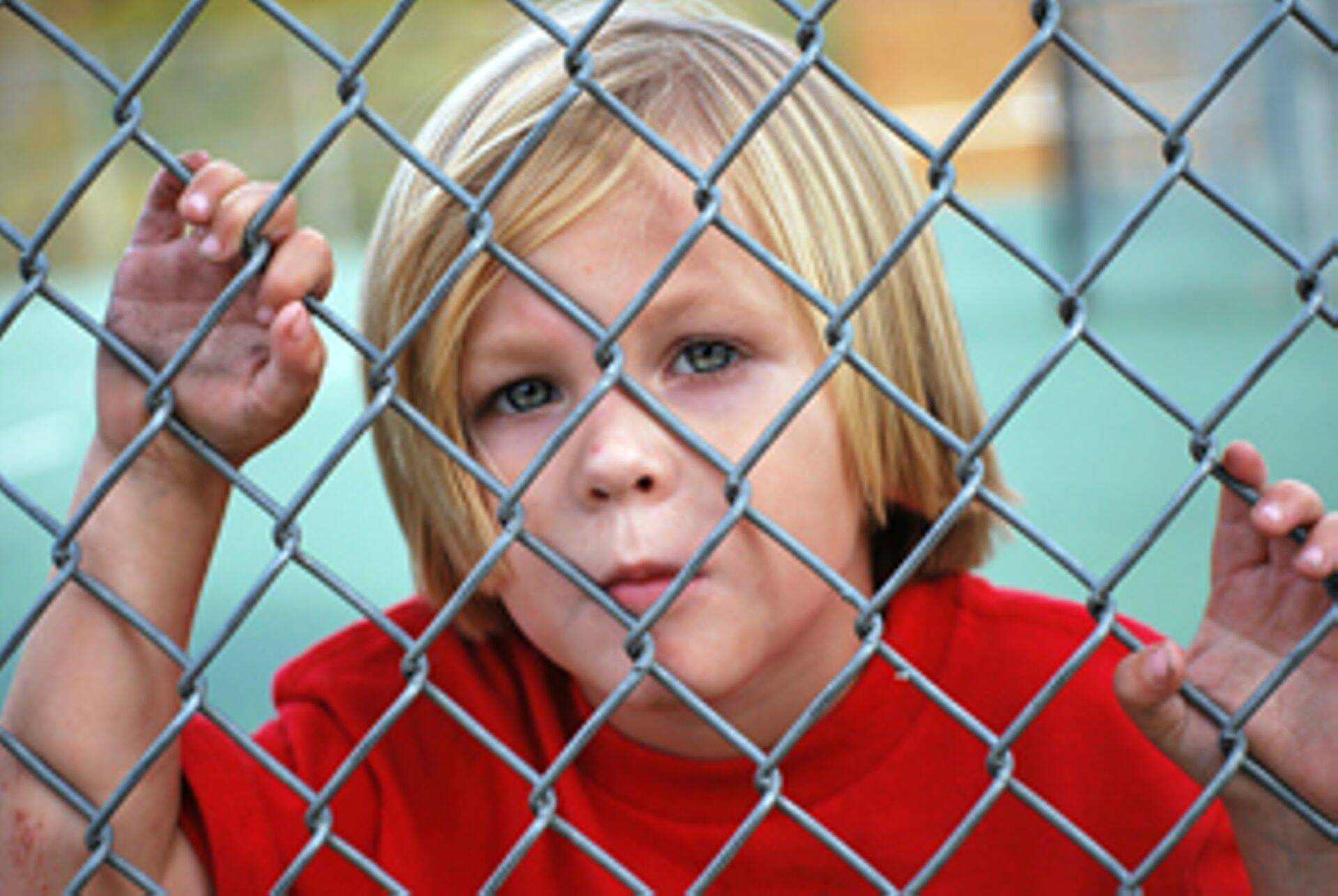 Ограждения из рабицы