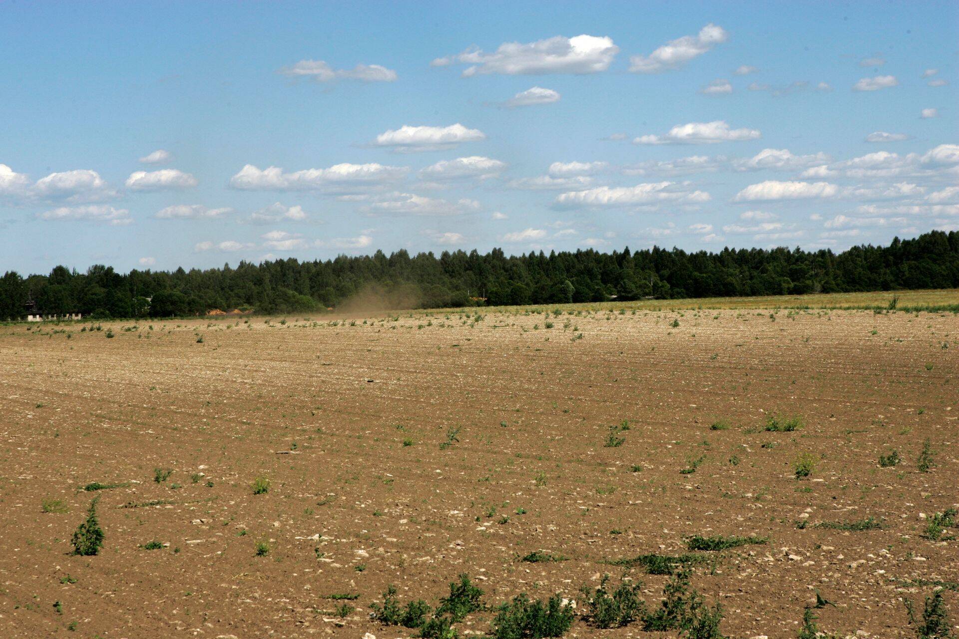 Põllumajandussaaduste hind mais tõusis.