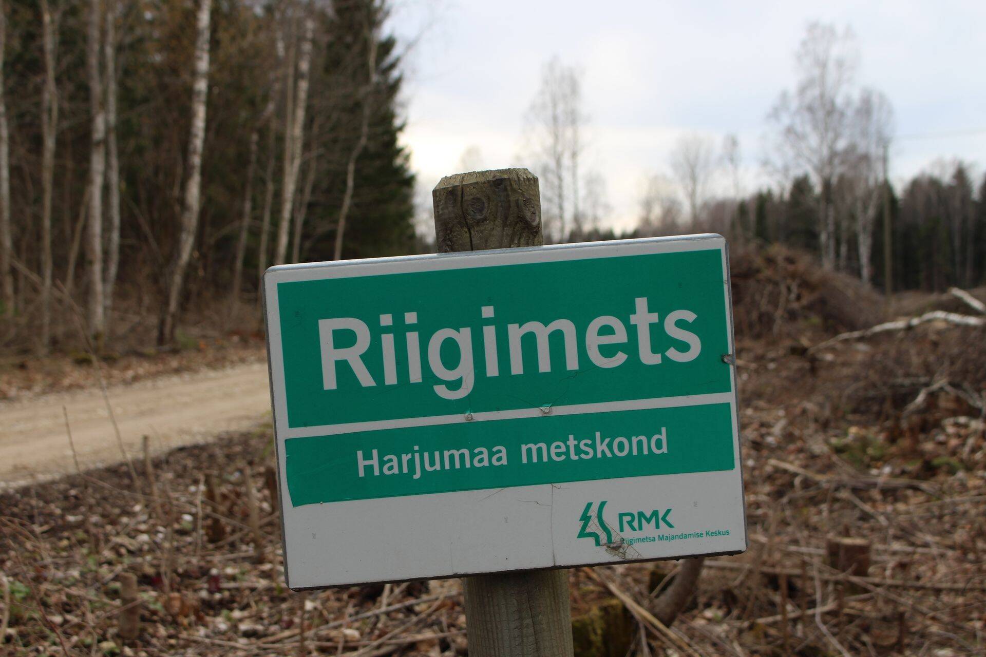 Audit näitab, et riigimetsas ei ole loodusväärtused kaitstud