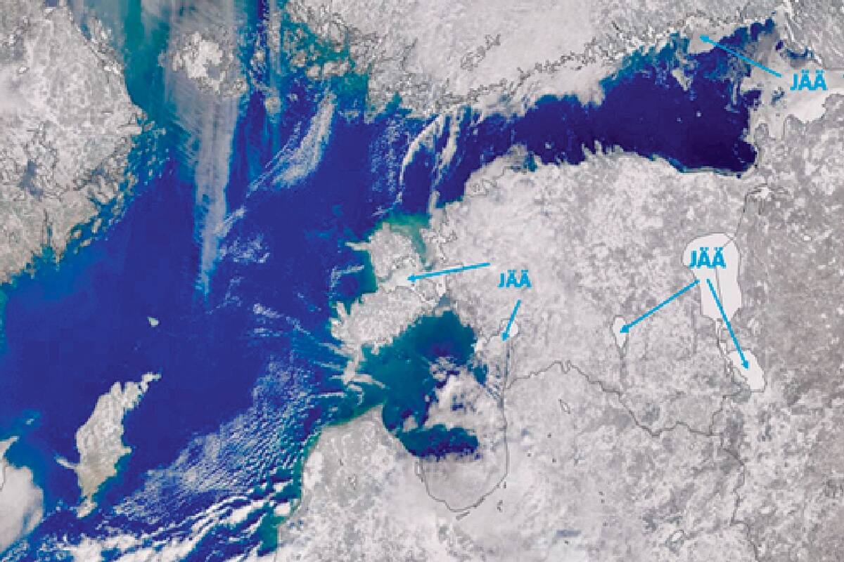 © Keskkonnaagentuur / Sentinel 3-olci