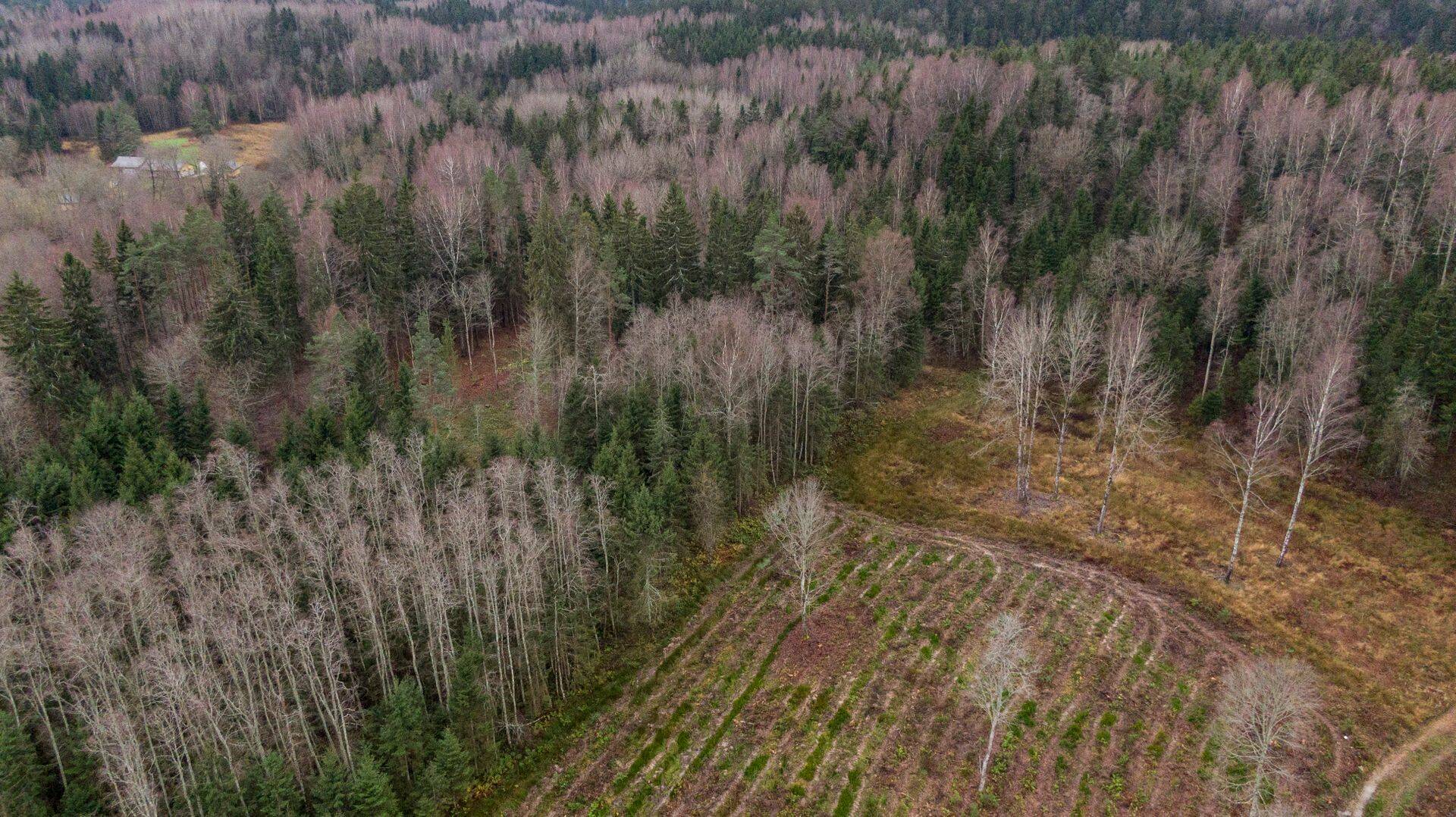 Kui piirangud ja nende tõenäoline laiendamine on teada, siis ei pea nende talumise eest ka hiljem riik hüvitist täie rauaga maksma