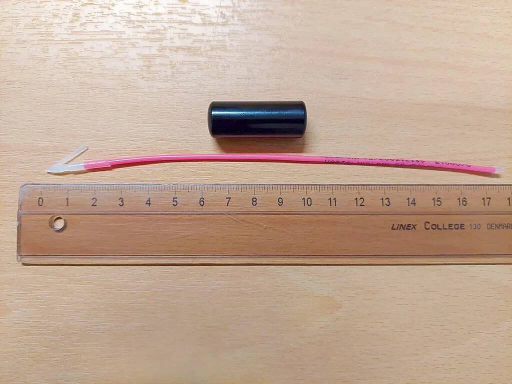 Kohade märgistamiseks kasutatud kehasisene akustiline ja kehaväline ankurmärgis. Fotod: Roland Svirgsden