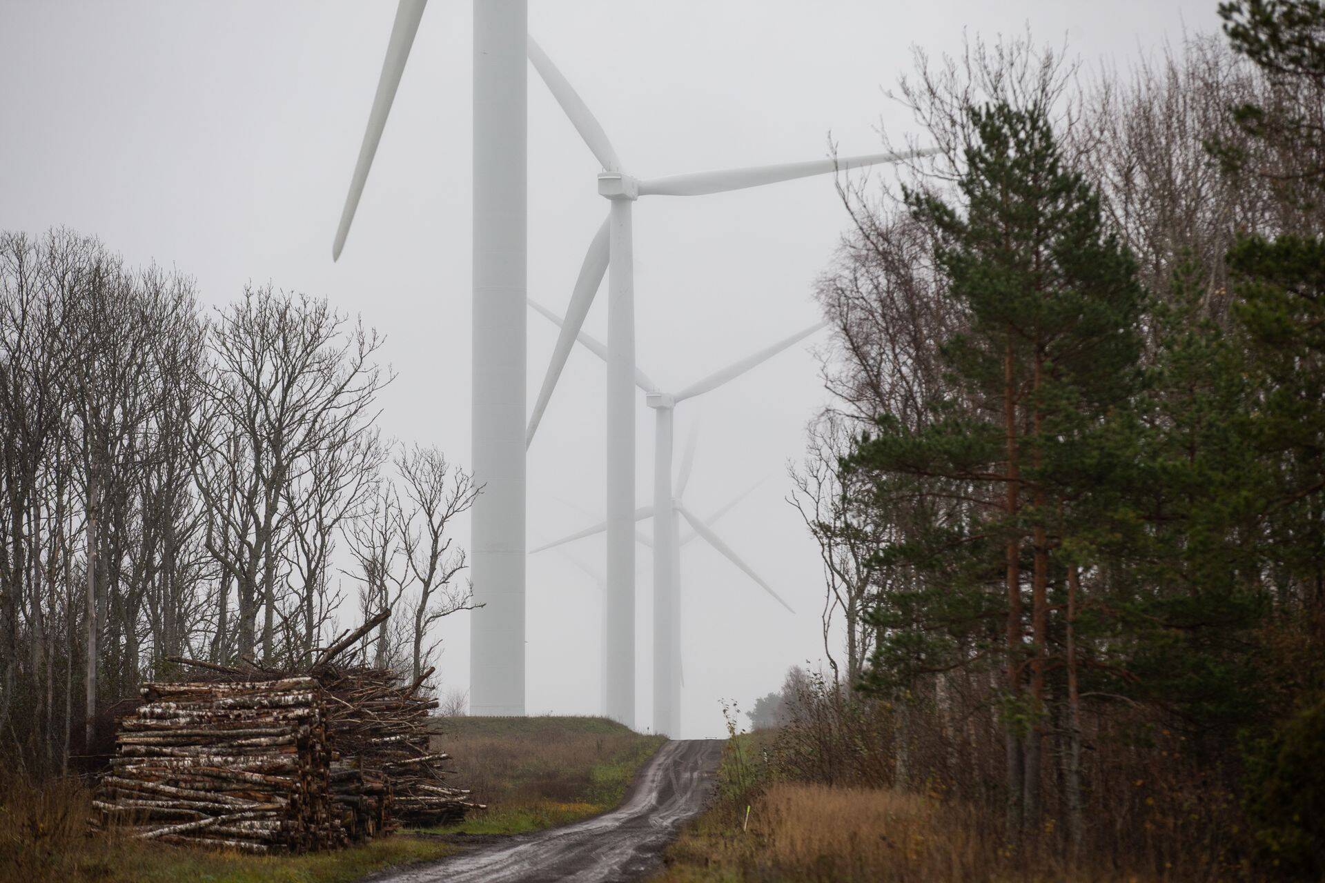 Riik võiks Eesti Energiale mõeldud raha suunata Ida-Virumaa tuuleparkide areguks, leidis Raisner ASi nõukogu liige.
