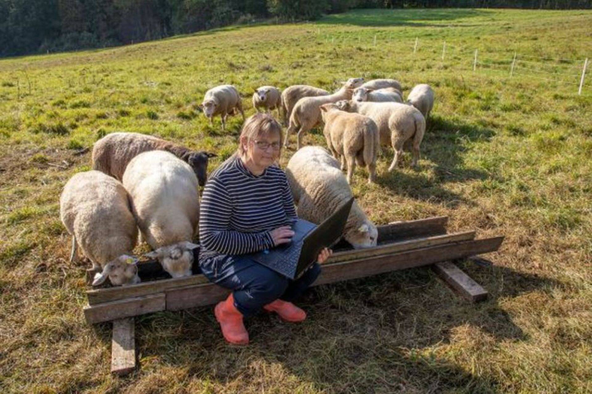 Aasta konsulent 2020 on Ell Sellis.