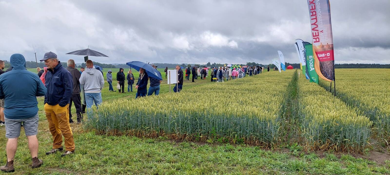 Scandagra Eesti põllupäev METK Viljandi Katsekeskuses. Fotod: Meelika Sander-Sõrmus