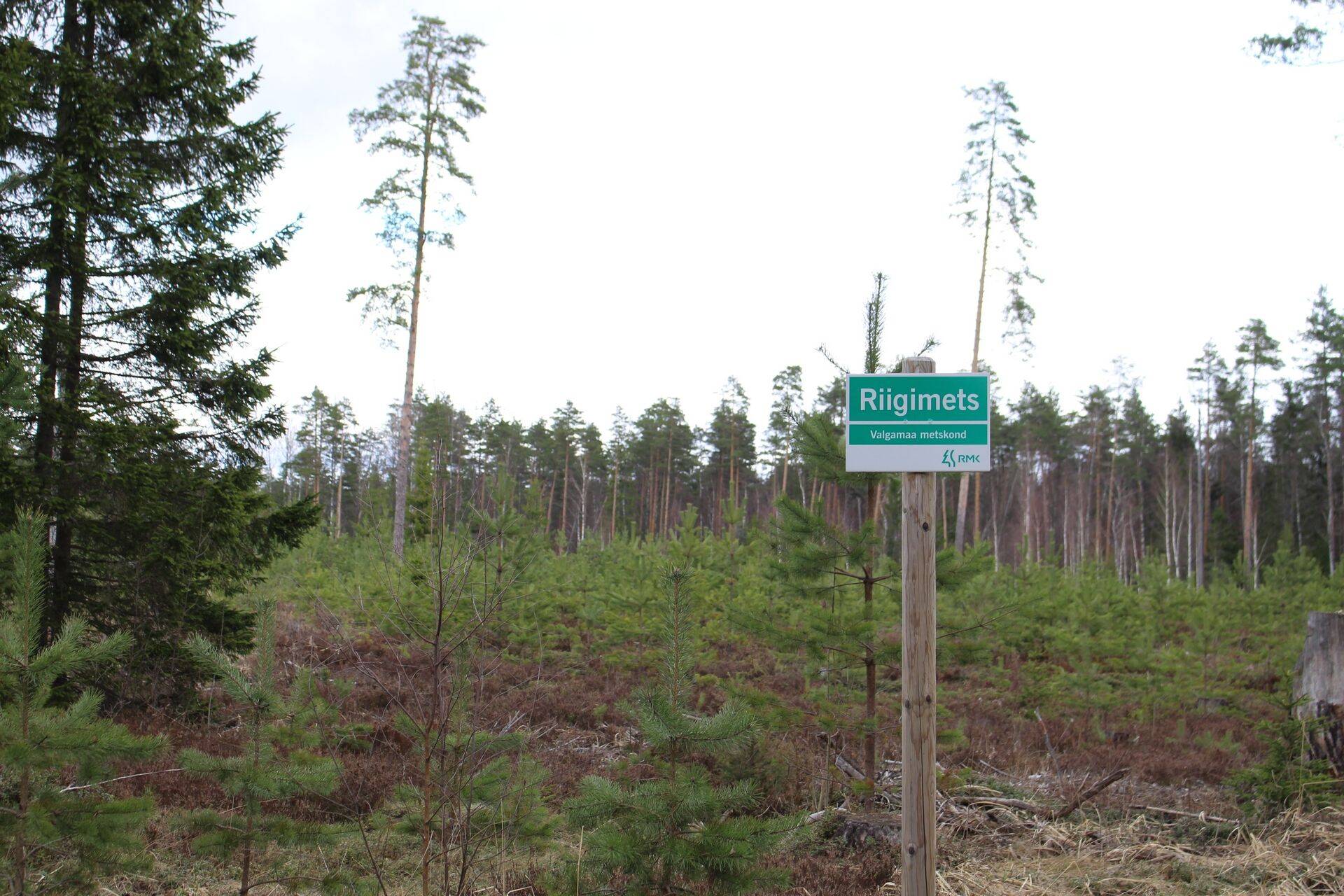 Eesti riigimetsi majandatakse säästvalt ja keskkonnasõbralikult
