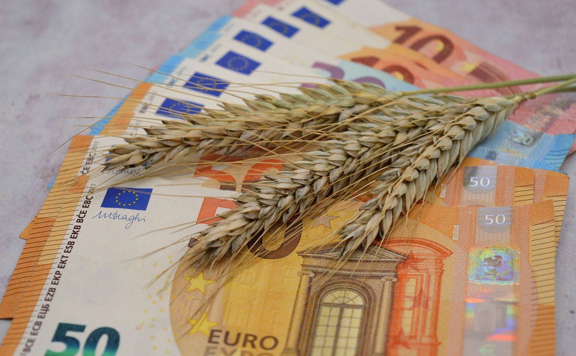 Taotlusvooru eelarve on 4,9 miljonit eurot ja seda rahastatakse Eesti riigieelarvest riigiabina.