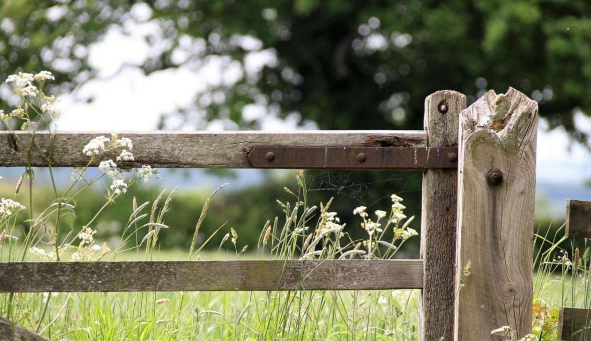 Avatud talude päeval osalejate seas uusi tulijaid 52 talu.