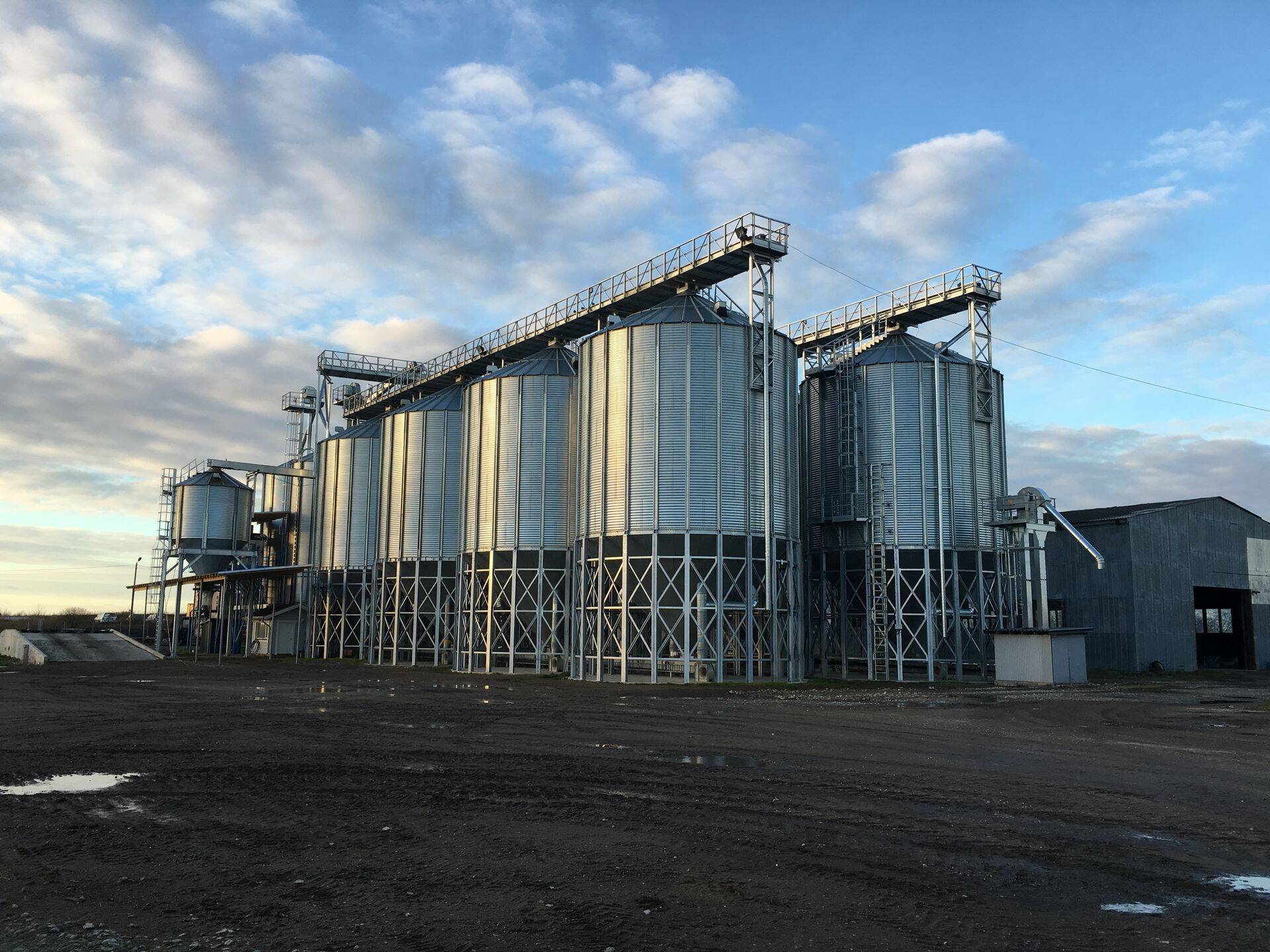 Aaspere Agro OÜ on oma investeeringuga väga rahul. Chief teraviljakuivati tootmisvõimsus on 60 tonni/tunnis.