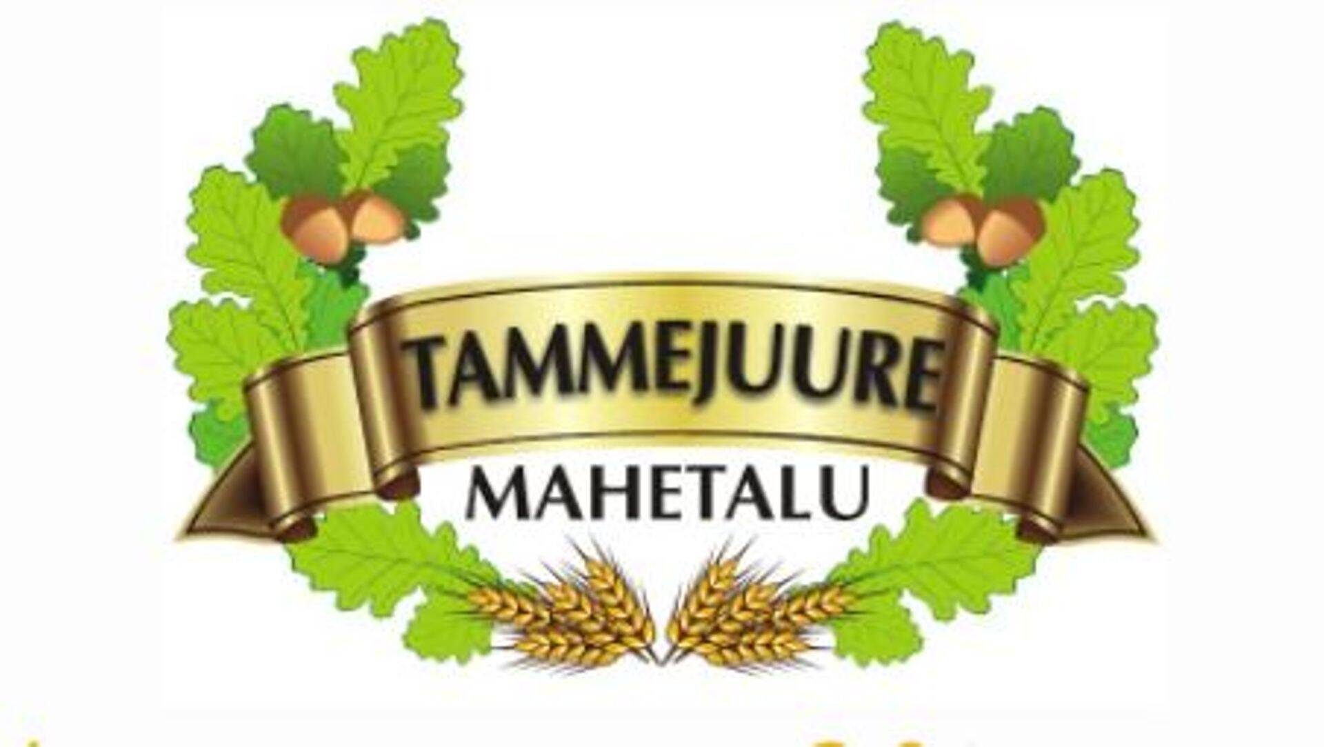 Tammejuure Mahetalu investeerib ettevõttesse miljoni