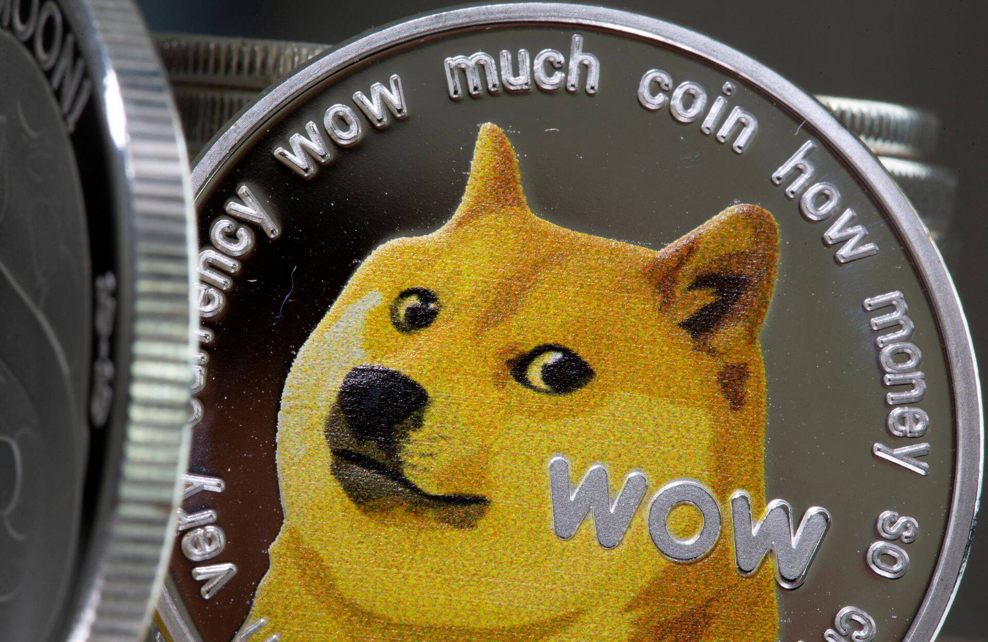 FILE PHOTO: Representations of the virtual currency Dogecoin are seen in this illustration taken June 16, 2021. REUTERS/Dado Ruvic/File Photo
