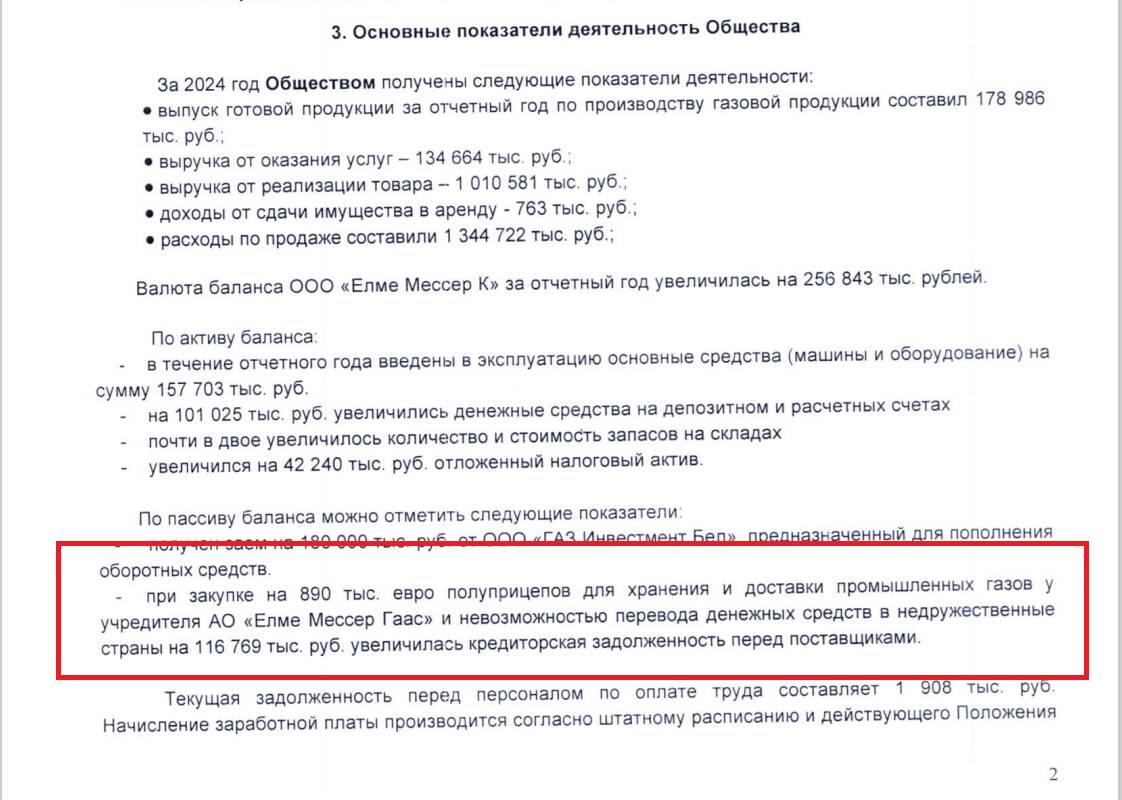 Скриншот Пояснения к бухгалтерскому балансу и отчету о финансовых результатах ООО «Елме Мессер К» за 2024 год.