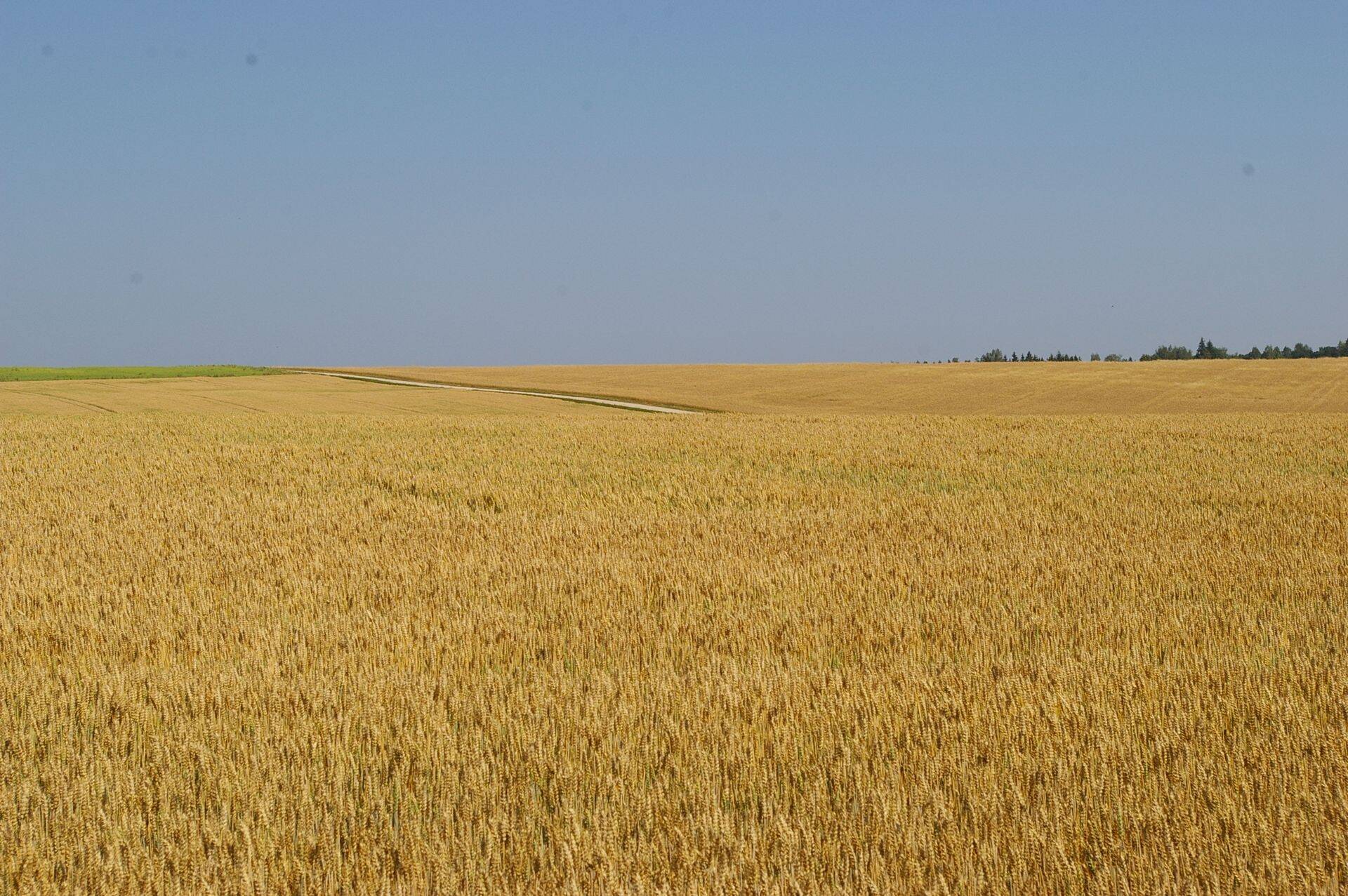 Toidunisu hinnad püsivad stabiilsena