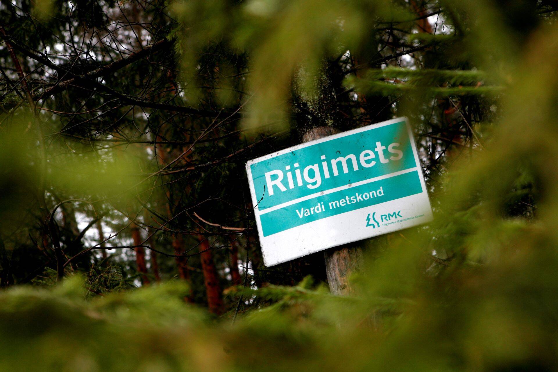 RMK peab seaduse järgi tagama metsamaterjali müügi turuhinnaga, kuid riigikontrolli audit näitas puidu müüki oluliselt madalama hinnaga.