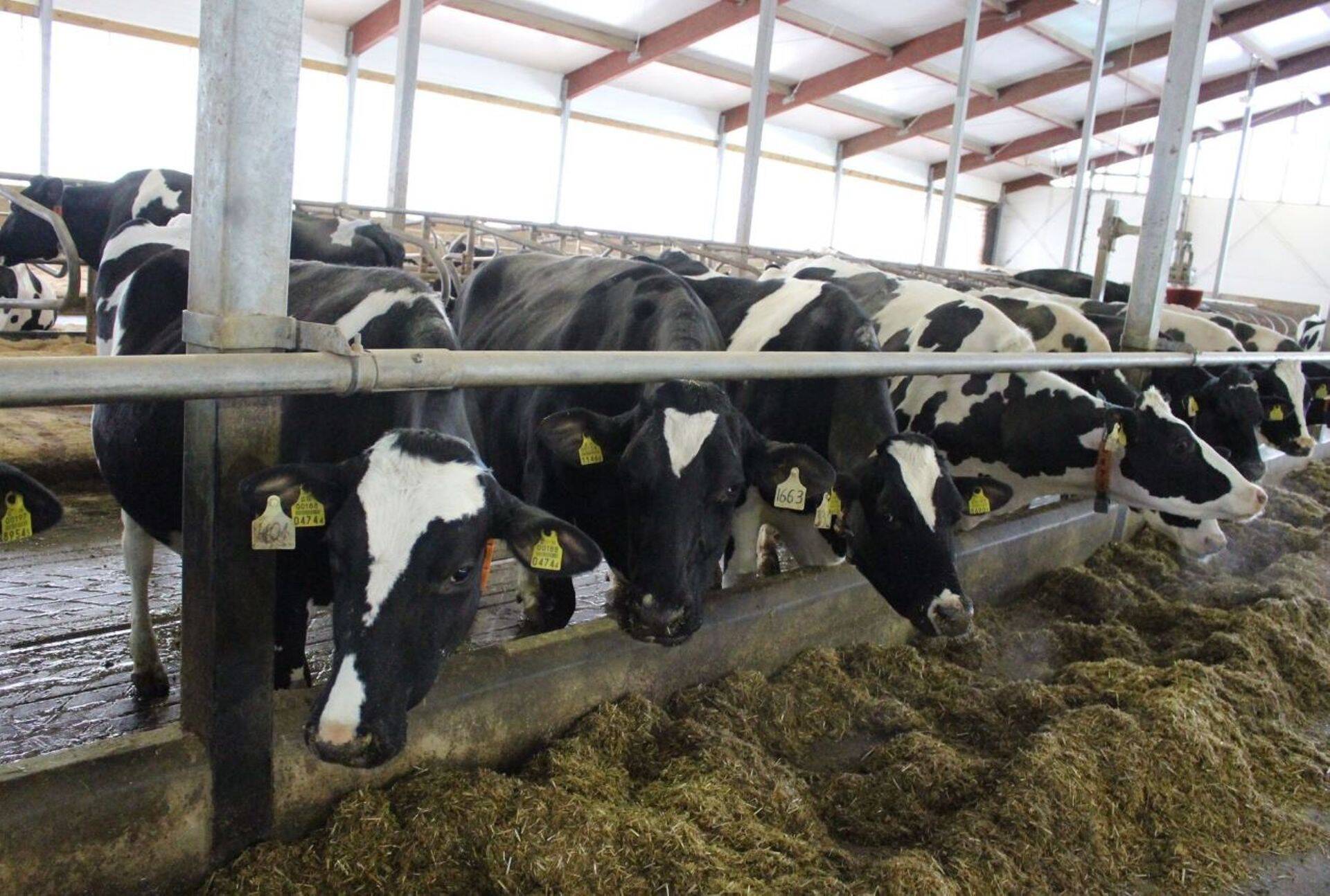 Alltech aitab mõõta ja vähendada söödaga seotud ökoloogilist jalajälge.