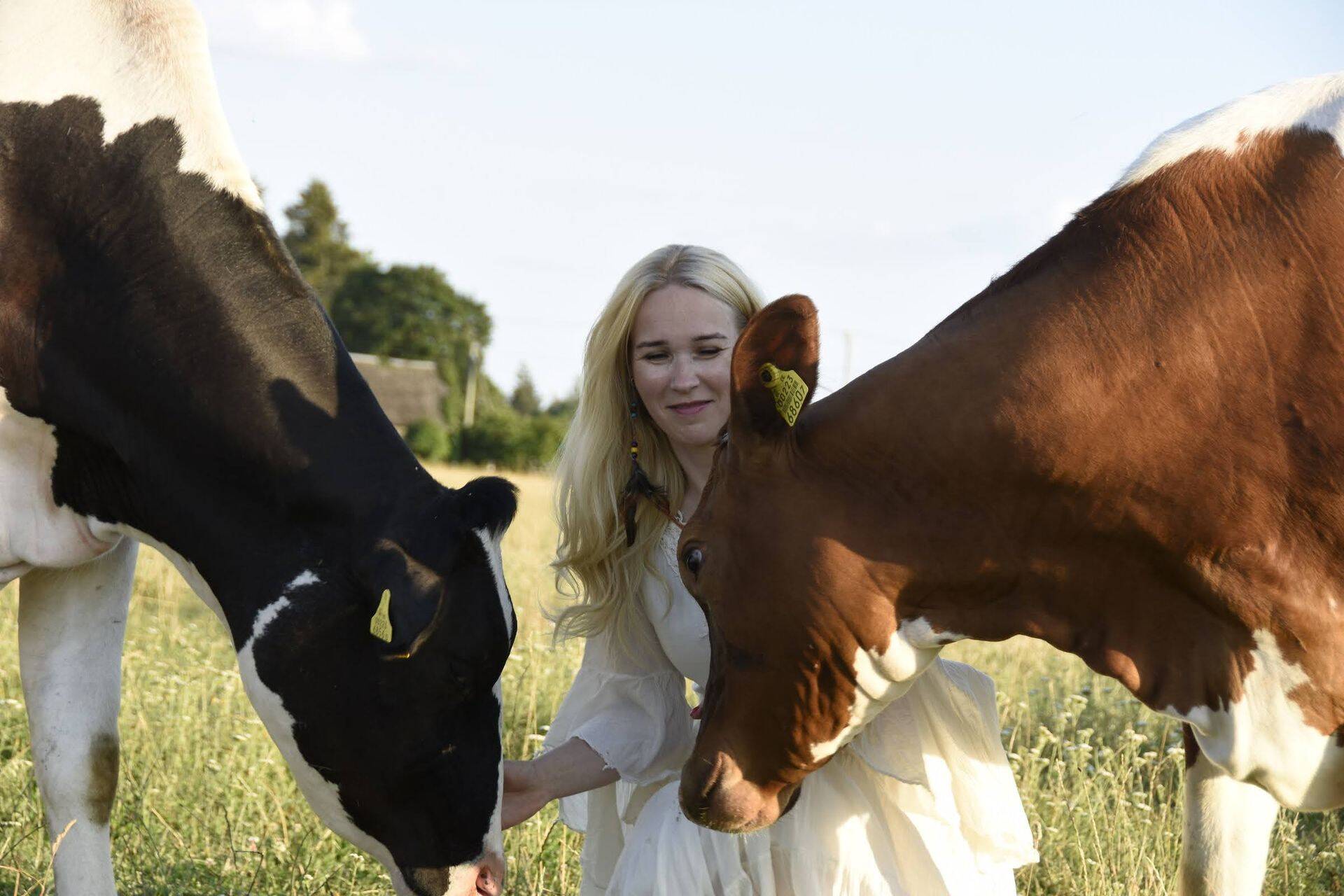 Suvi kulges söödavarumise ja uute vasikate tervitamise tähe all.