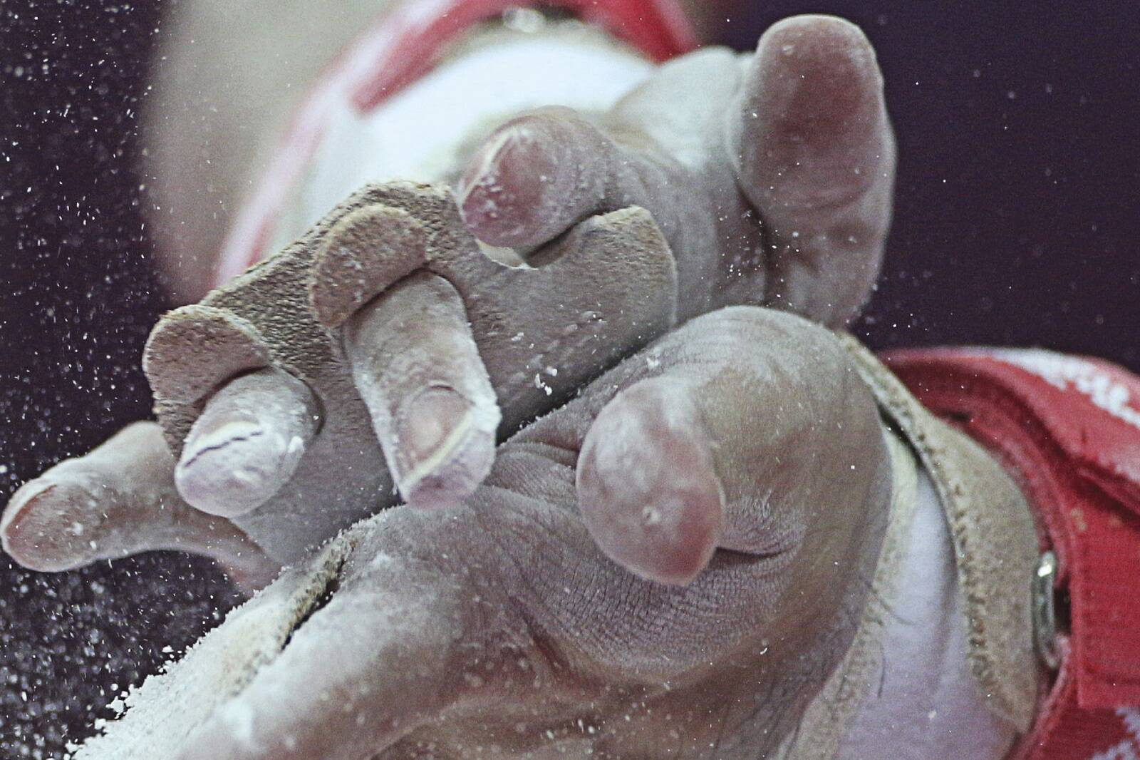 Meistrite võitlus: suurvõistluste põhjal näeme, milleks me liigina üldse võimelised oleme.