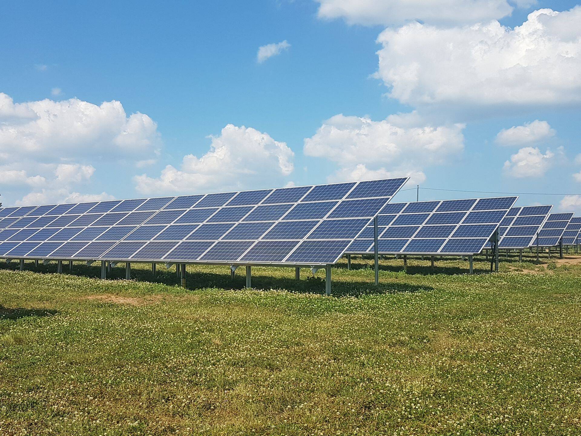 Estiko päikesepark Antsla lähedal