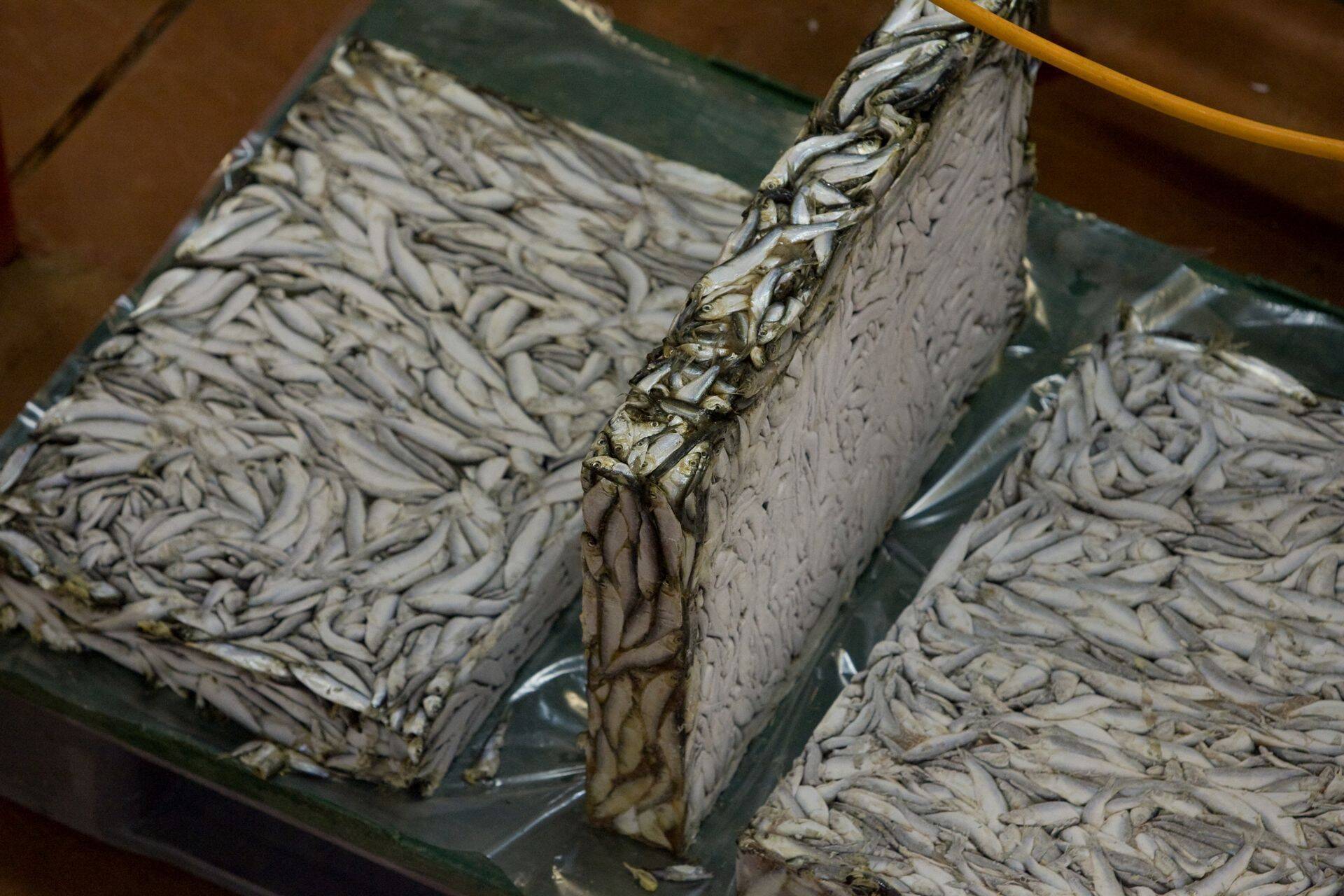 Kaubandussõda veterinaarameti kaudu