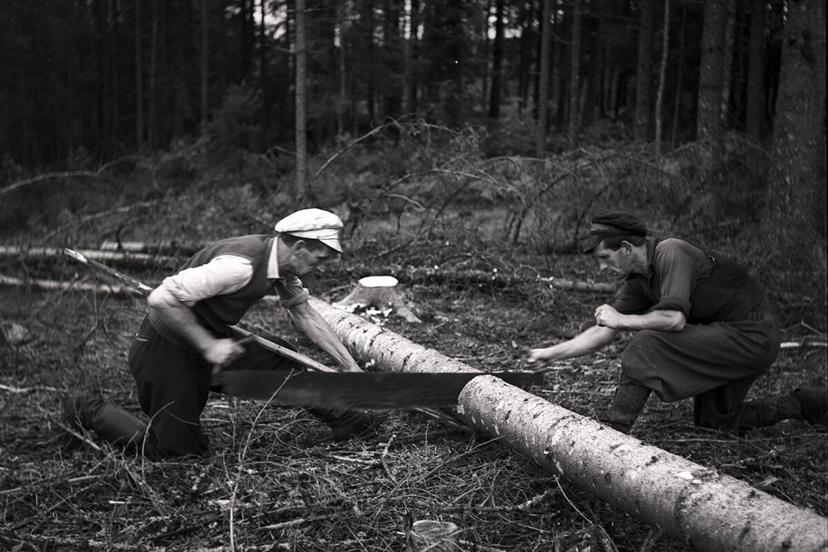 © Carl Sarap / Tallinna Linnamuuseum