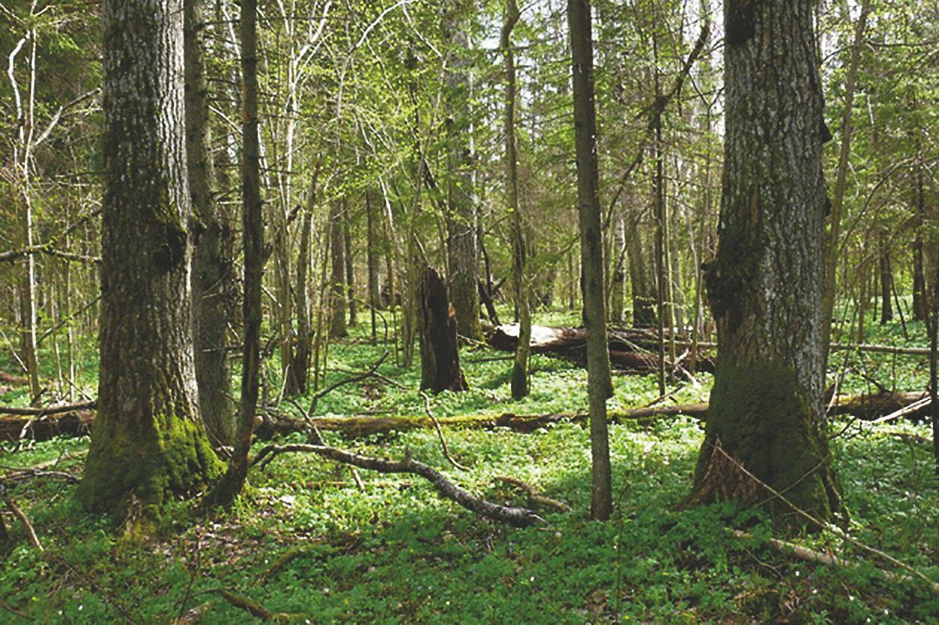 Keskkonnaministeeriumis toimus kohtumine keskkonnaühendustega