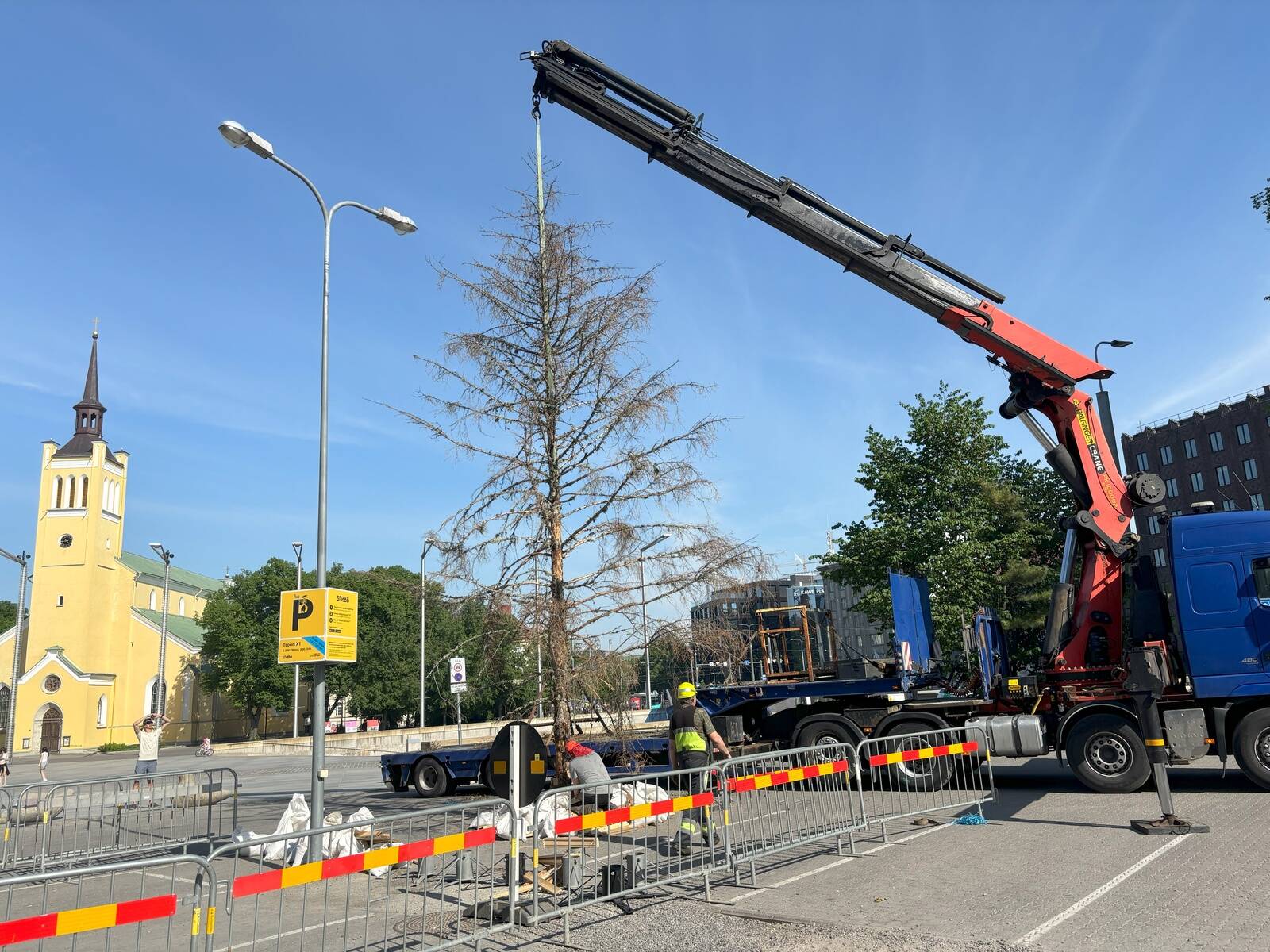 Meeleavalduse eel pani Erametsaliit Tallinna Vabaduse väljakule püsti “üraskimetsa,” et juhtida avalikkuse tähelepanu metsaomanike muredele.