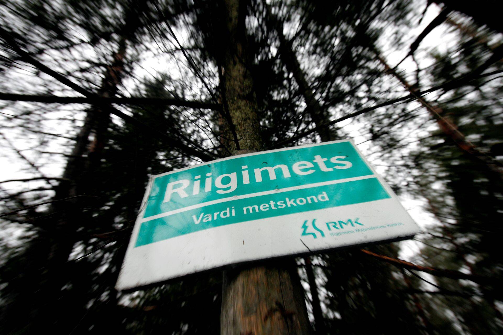 "Pean kõiki, kes lähtuvad klišeelikust loosungist, et "eestlane on metsarahvas", kahjuks kurvastama. Oma üldistavas mõttes on see ajalooline väljend, millel pole tänapäeva inimesega enam kuigi tihedaid seoseid," kirjutab Fredi Kaasik. Pilt on illustreeriv.