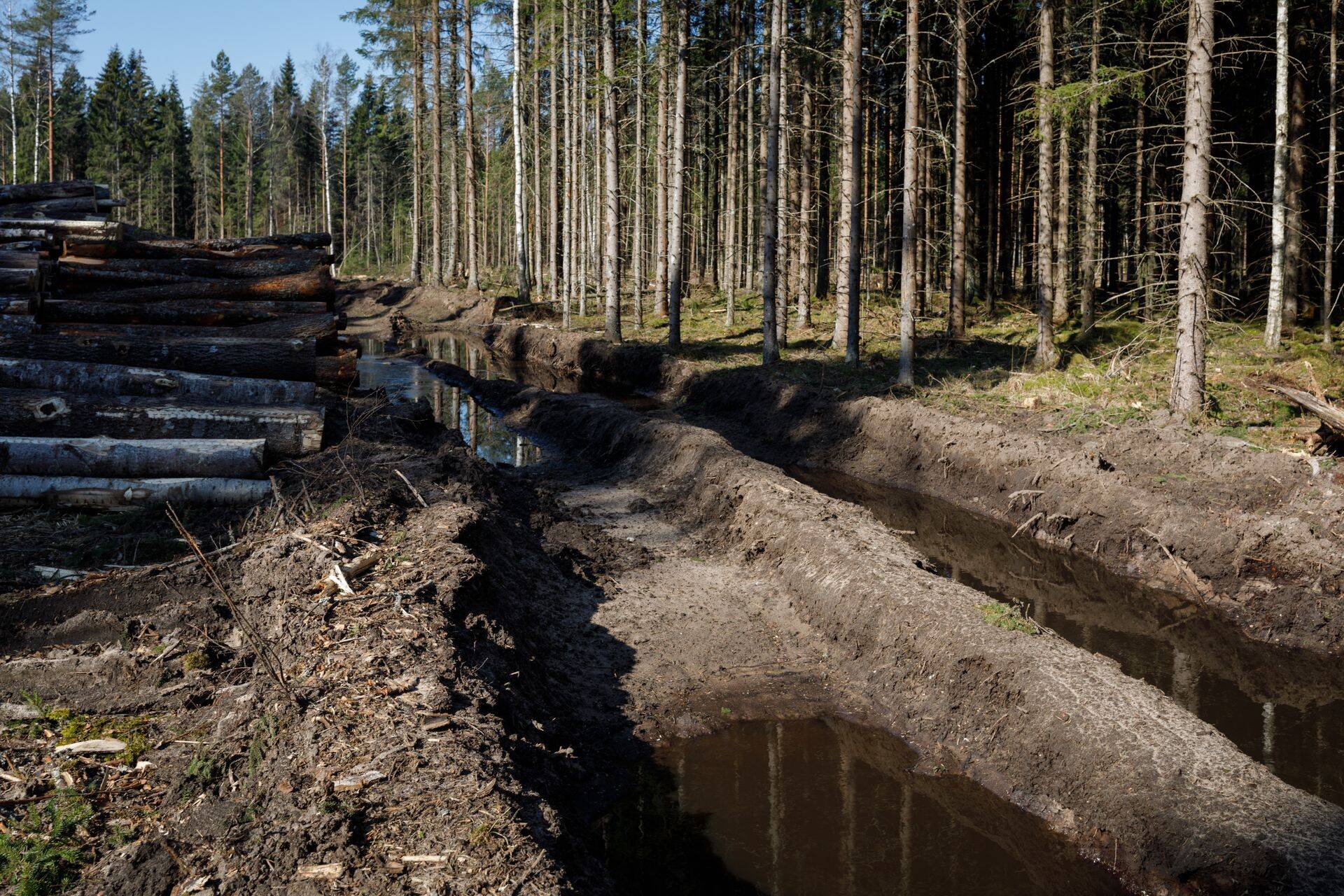 RMK peab seaduse järgi tagama metsamaterjali müügi turuhinnaga, kuid riigikontrolli audit näitas puidu müüki oluliselt madalama hinnaga.
