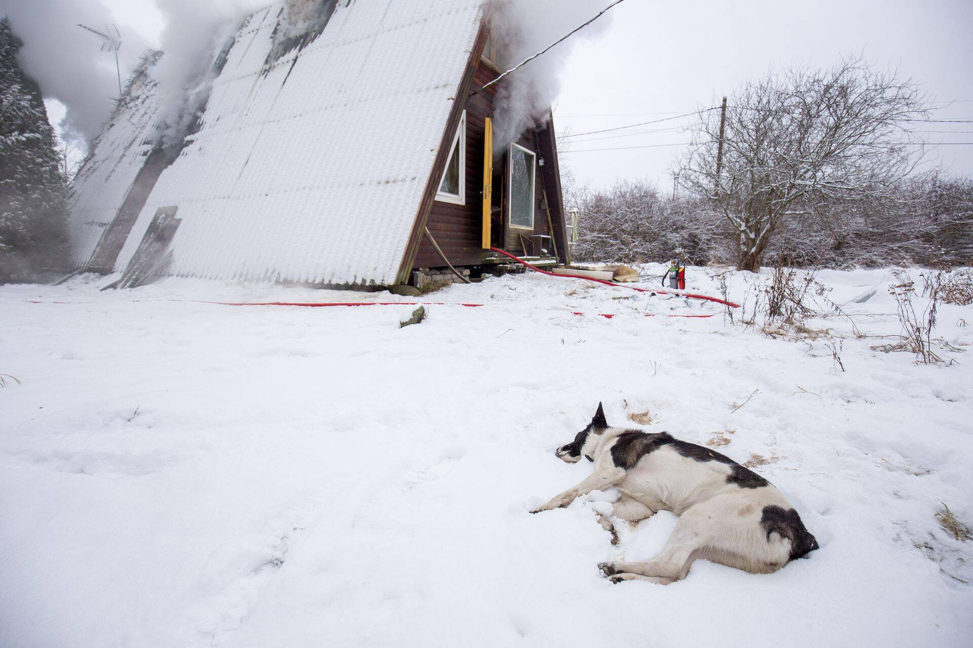 Tulekahju Viraksaare külas
