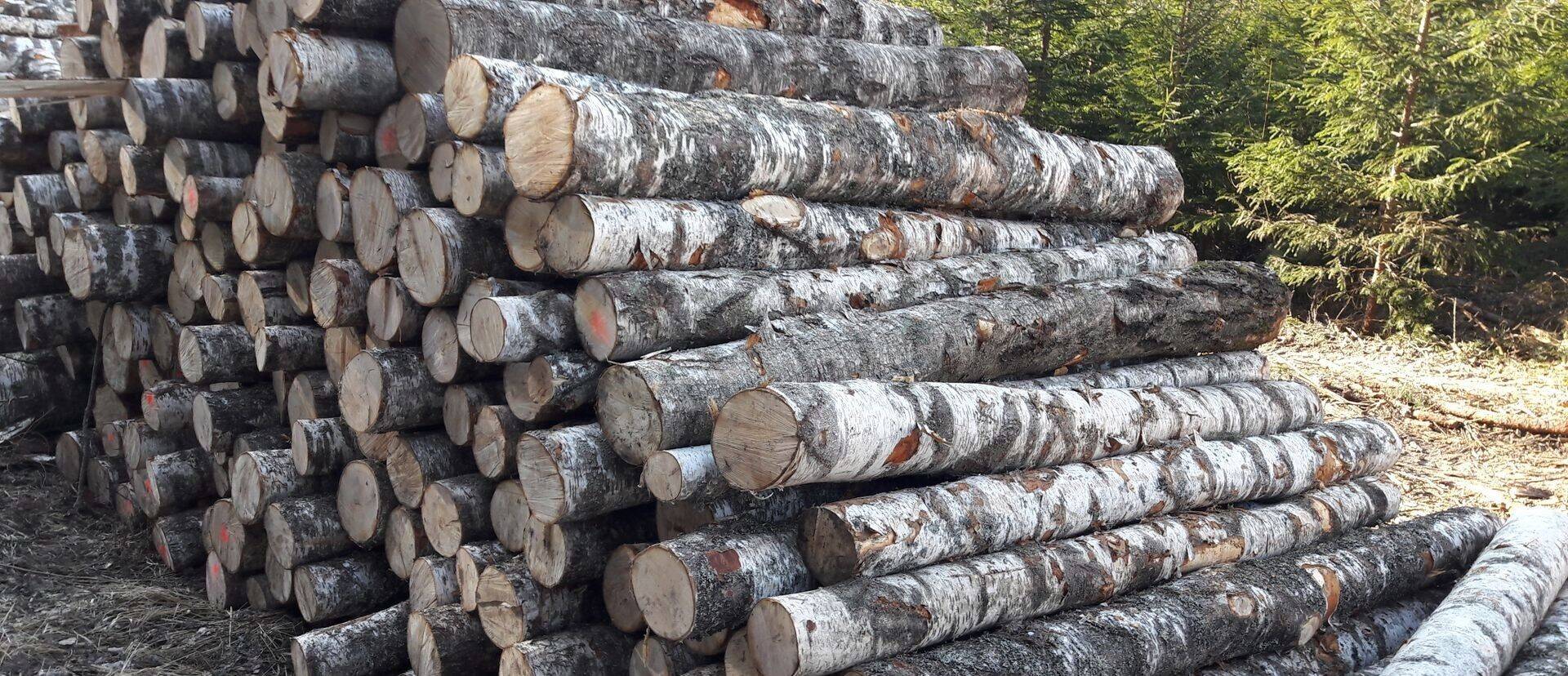 Laesti eelmise aasta majandustulemusi pärssis ka ladudesse seisma jäänud saematerjal.