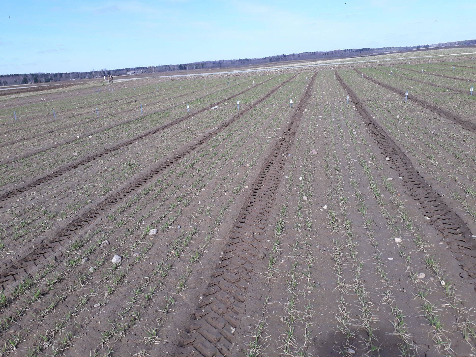 Sama katse pildistatud 23.04.2018