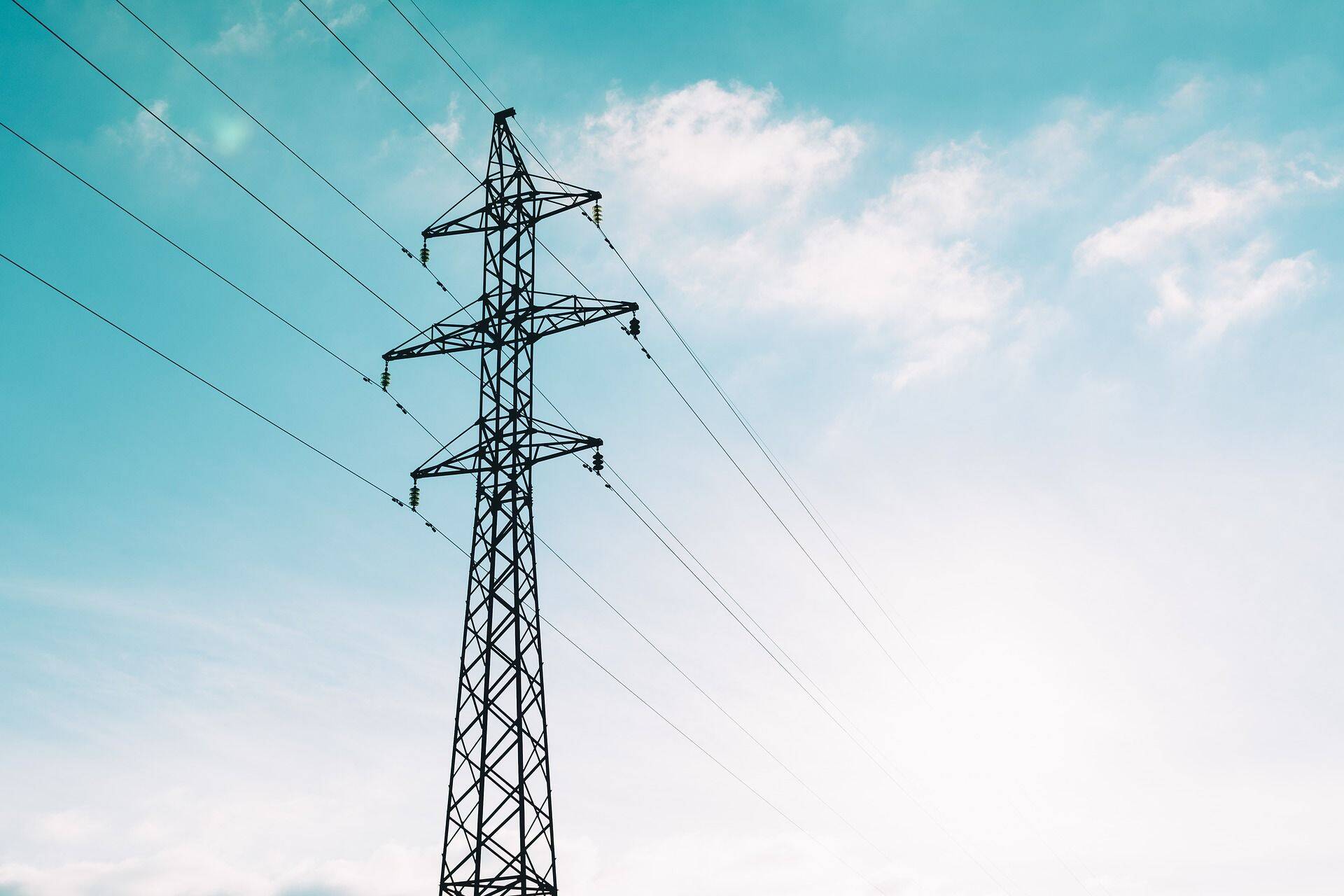 Kaupadest eksporditi kõige rohkem mineraalseid kütuseid ja elektrienergiat, elektriseadmeid, puitu ja puittooteid.