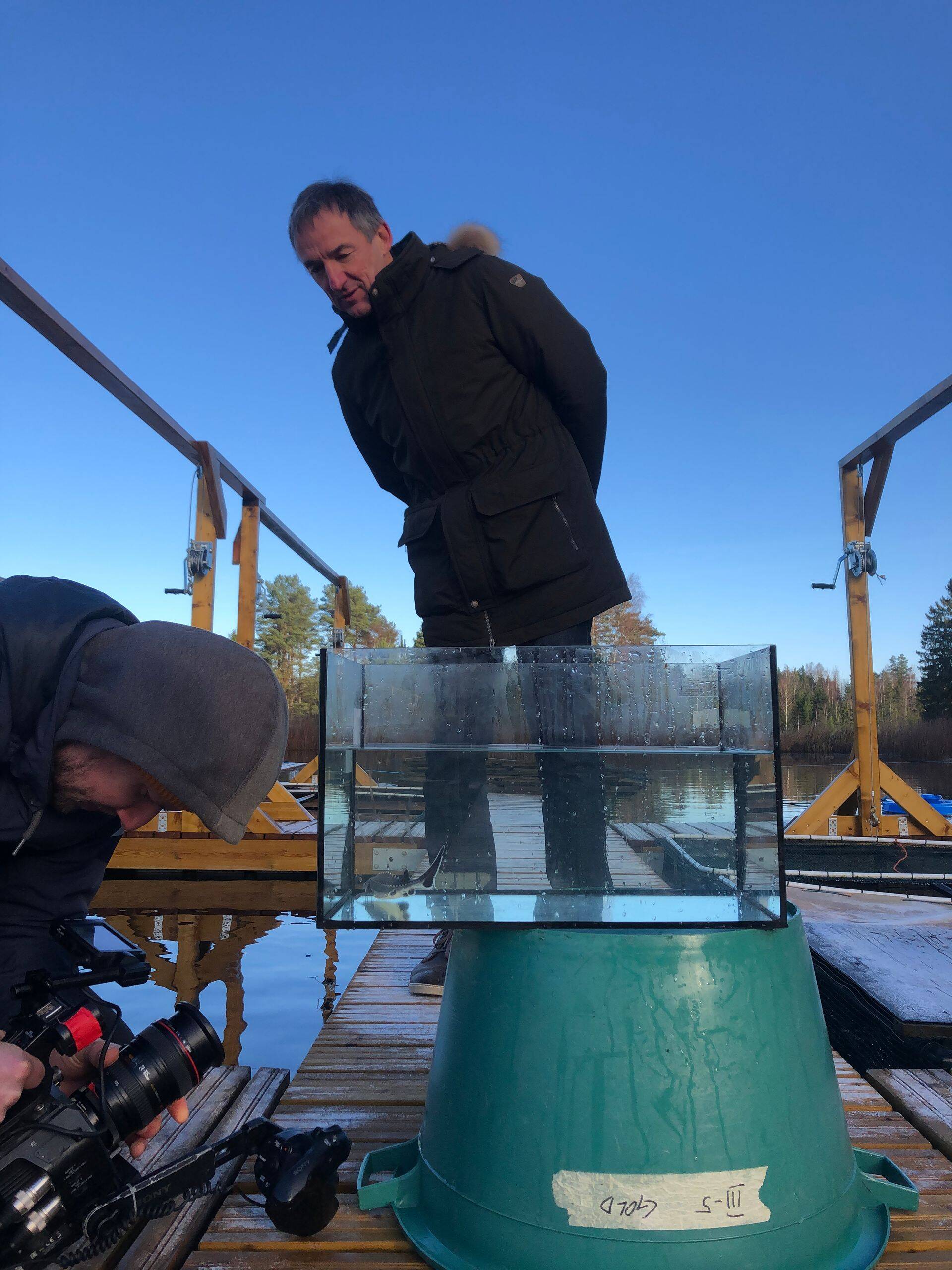 Narva jõkke viidi 50 telemeetriamärgisega Läänemere tuura. Fotod: Keskkonnaministeerium