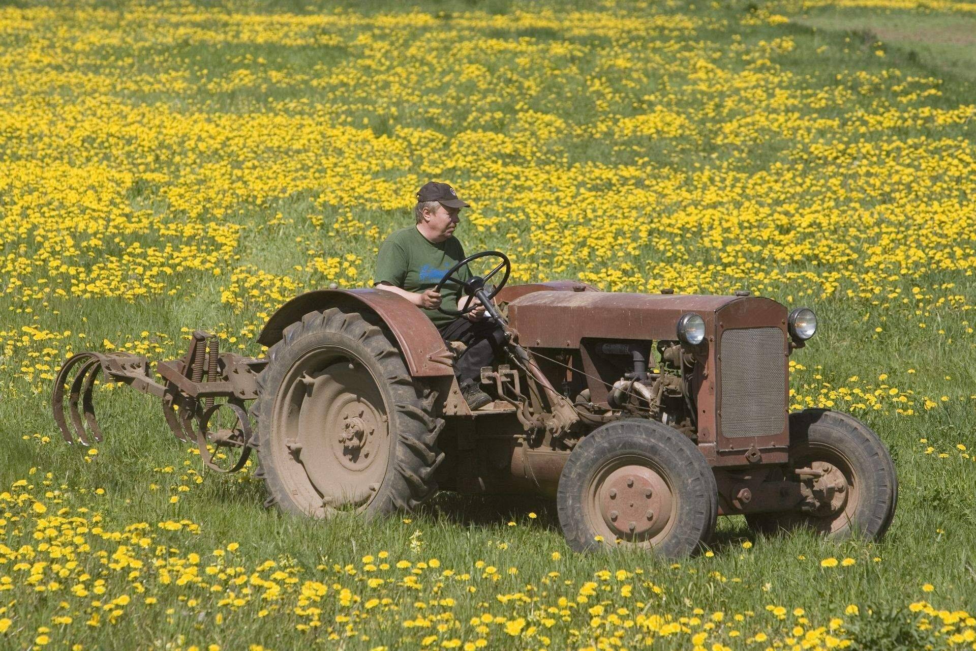 PRIA toetust taotleb 385 noortalunikku
