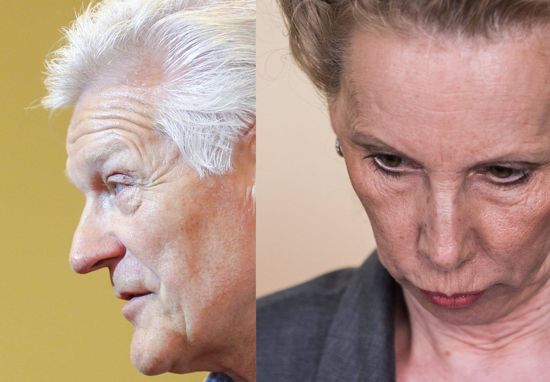 Tööandjate Keskliidu endise volikogu esimehe Enn Veskimägi ja EVEA presidendi Kersti Krachti arvates pole riiklikult võimalik soolist võrdõiguslikkust reguleerida.