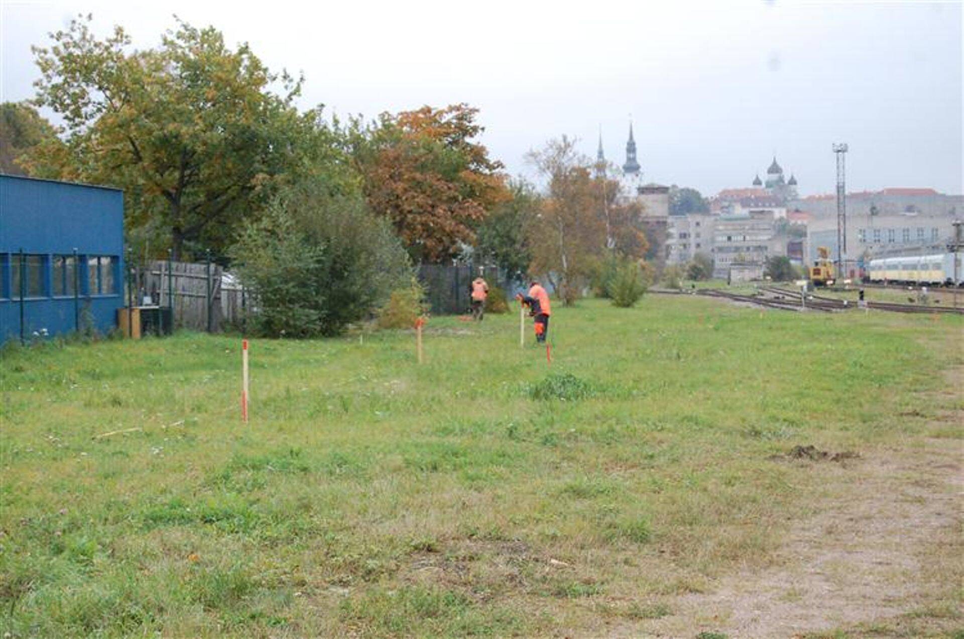 Pinnasereostuse likvideerimine