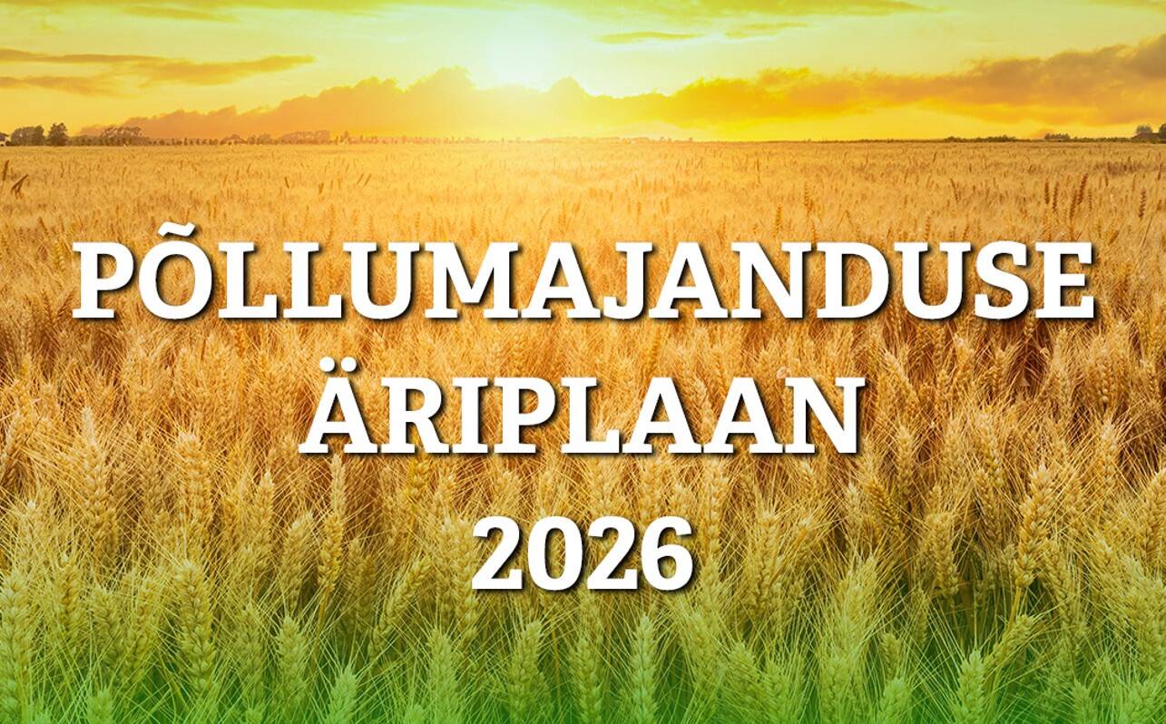 Tule kuula sektori tippjuhte!