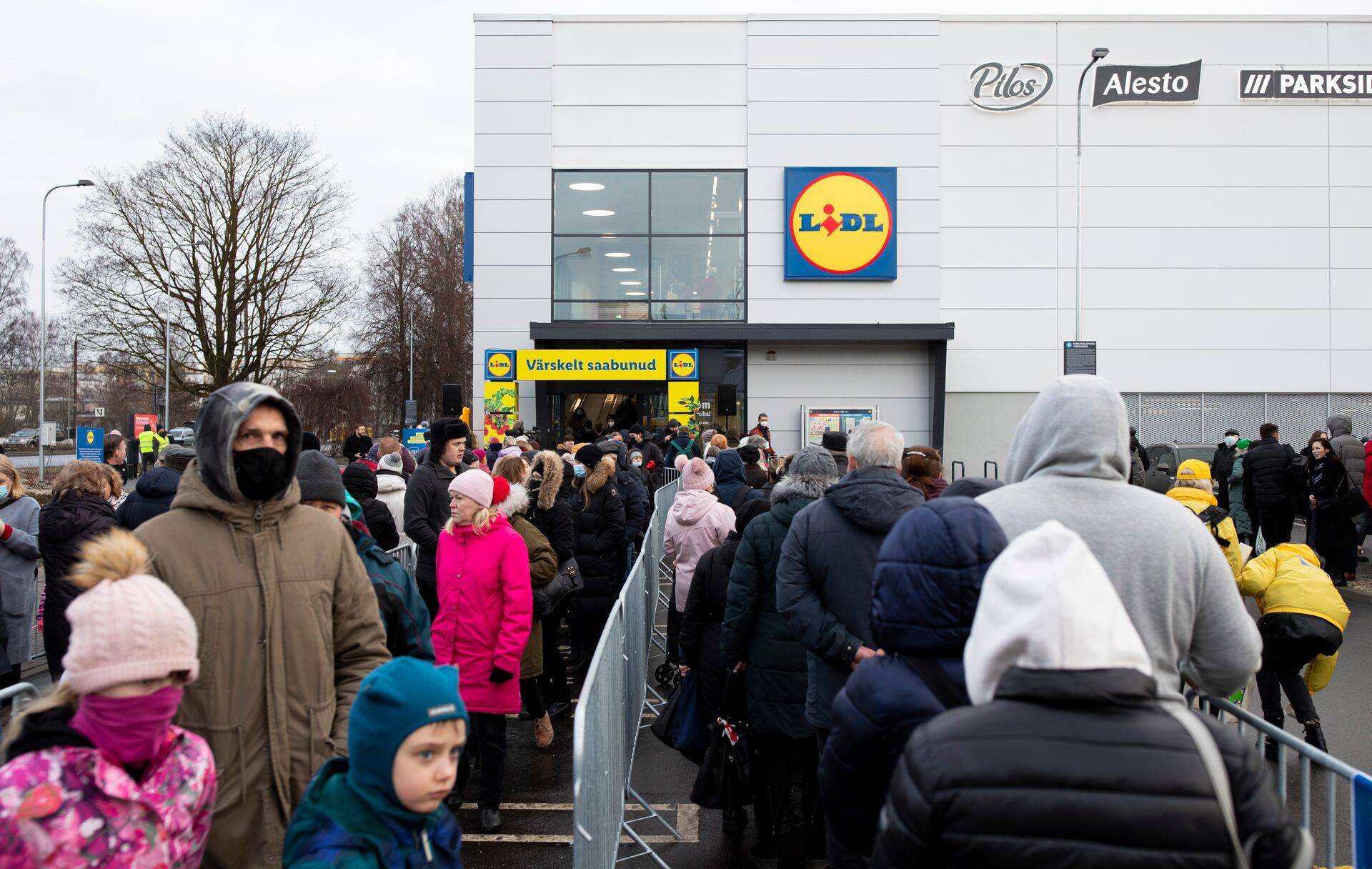 Lidl avas eelmisel aastal poed ja asus kohe turgu haarama.