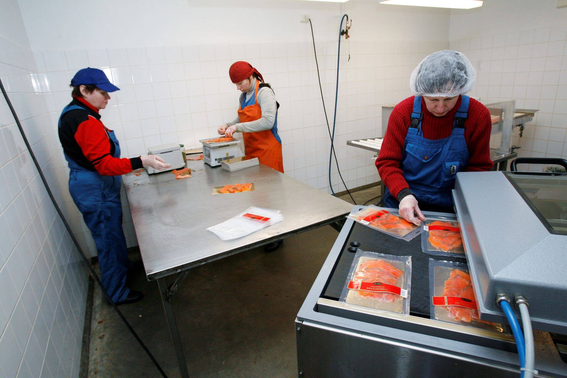 M.V. Wool kalatööstus Vihterpalus.