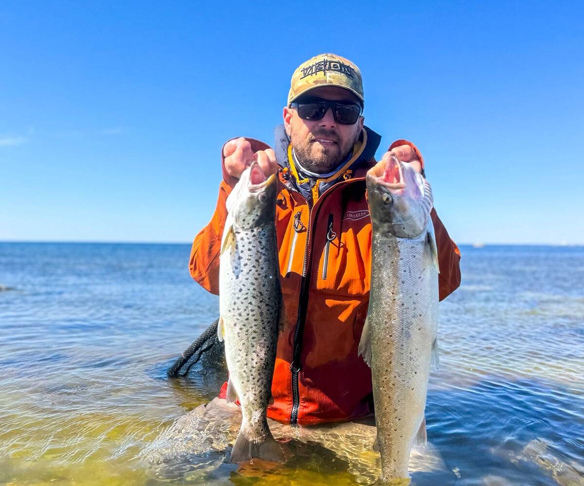 Tarmo Rannala ja kaks suure parve seest tabatud mõõdus meriforelli.