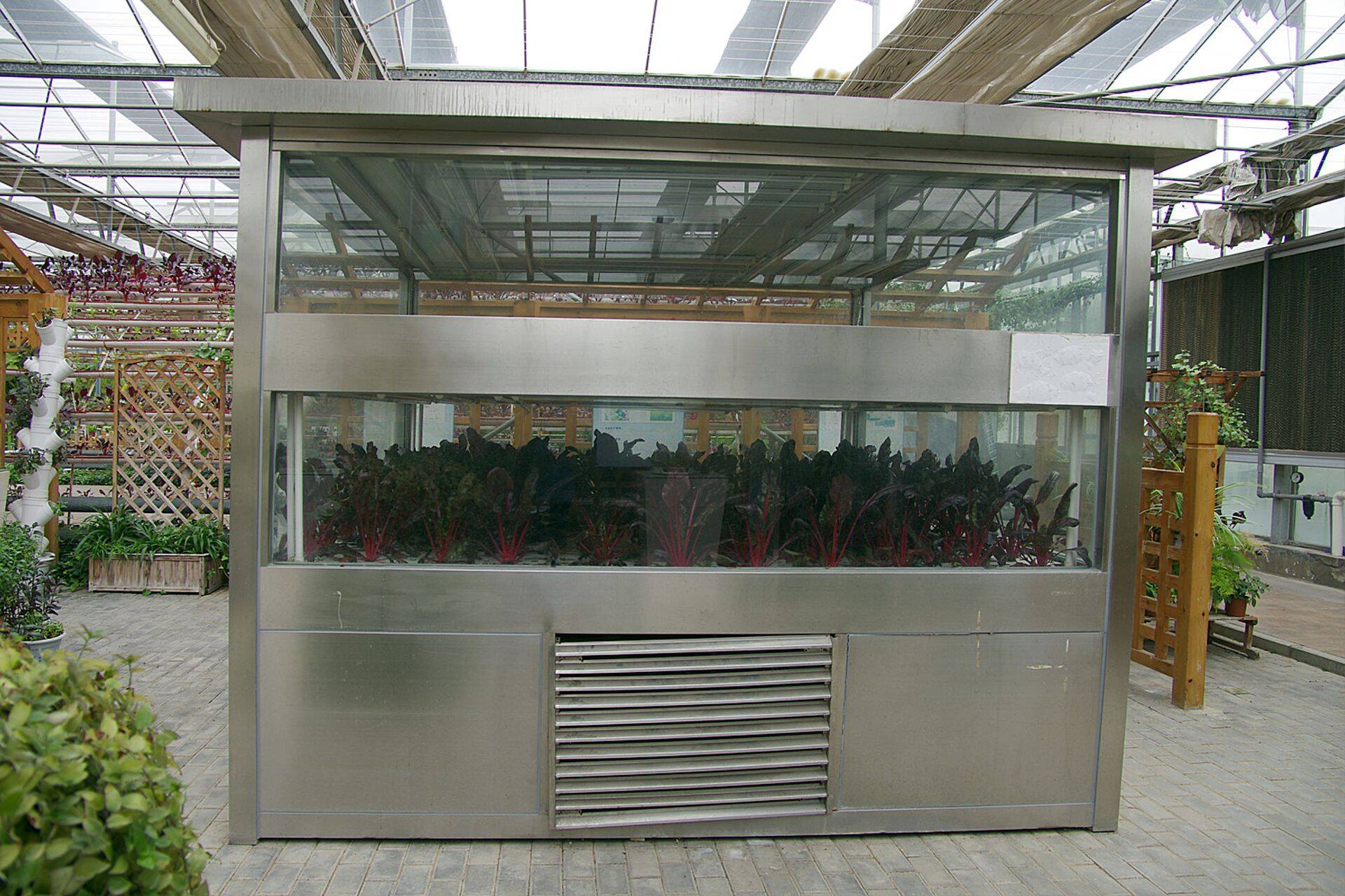 Taimede kasvatus täielikult kontrollitud kasvukeskkonnas, nn. kasvatuskapis.