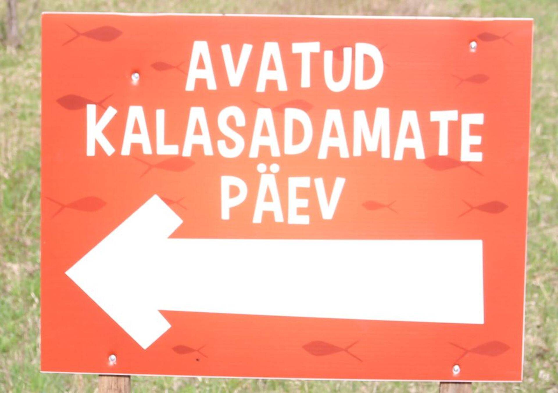 Tule veeda tore laupäev kalasadamates.