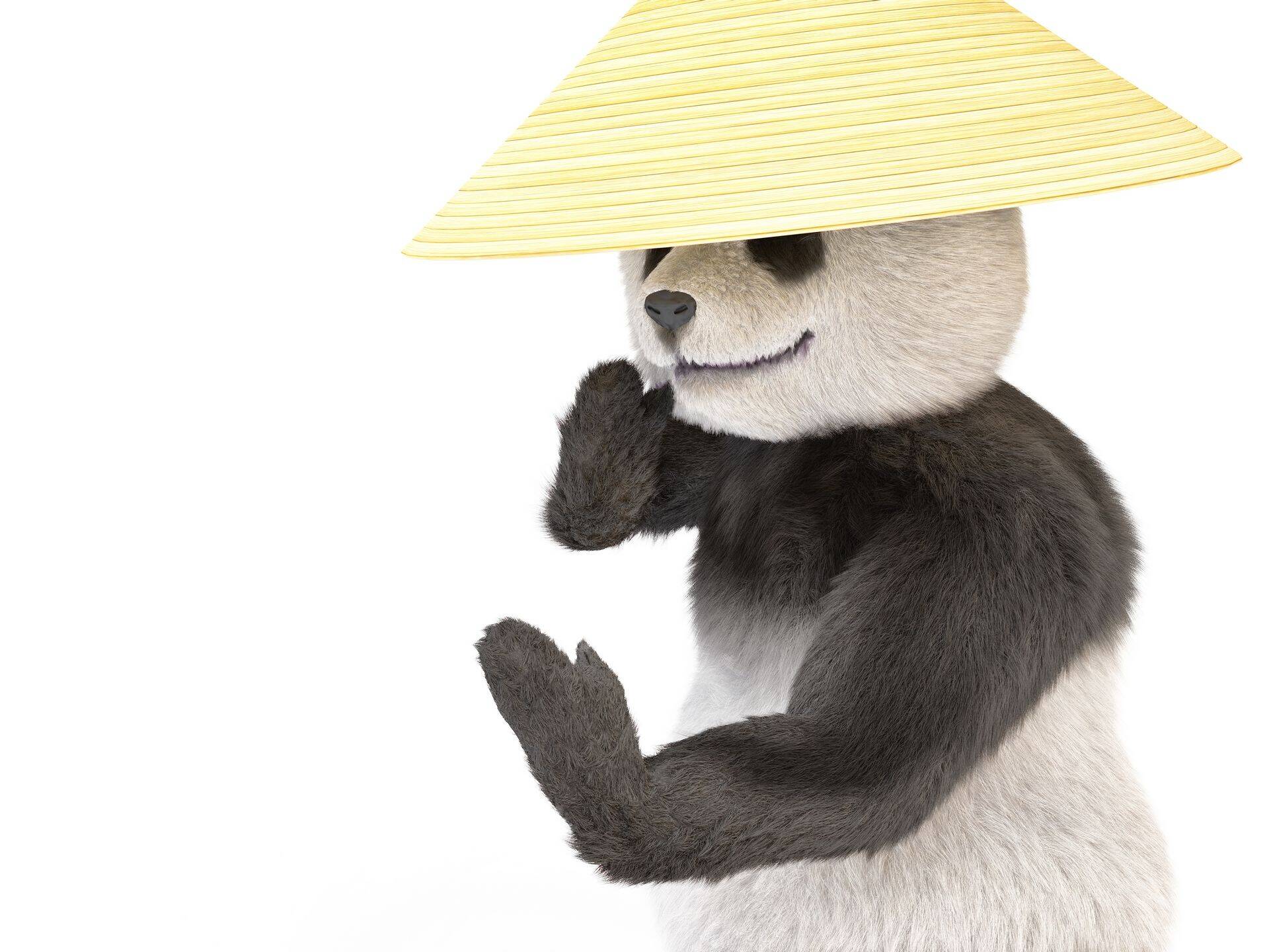 Kung Fu Panda