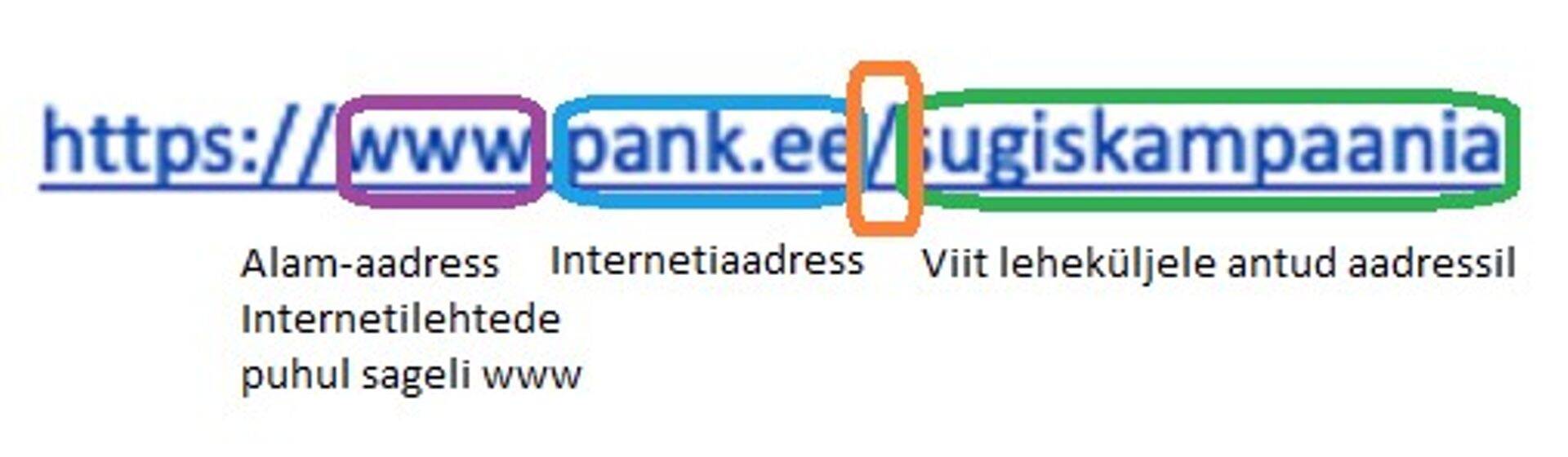 Internetiaadresside õigsuse kindlaks tegemisel on abiks, kui vaadata, kus asub aadressireal esimene üksik kaldkriips.